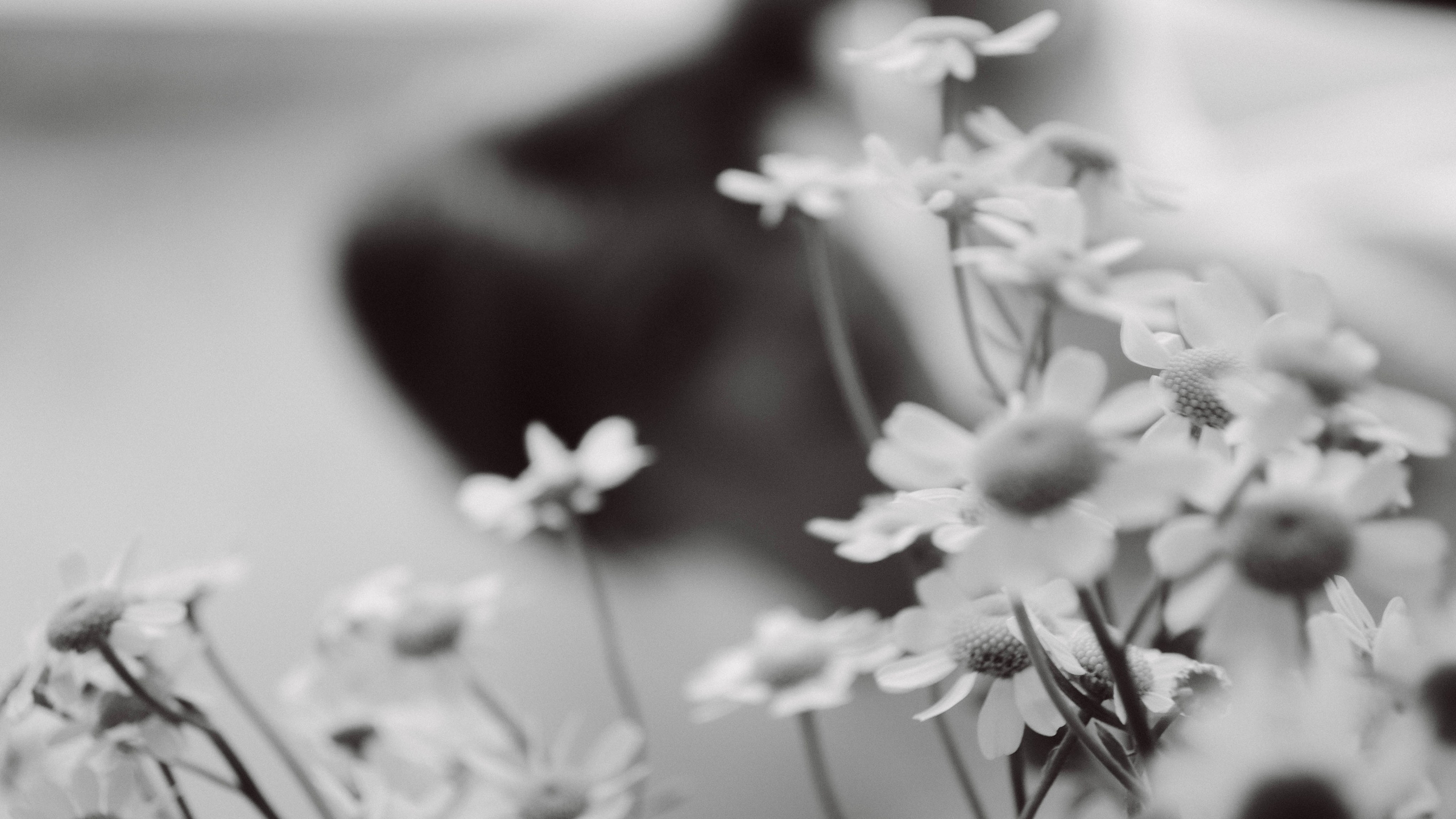 Лиза. Фотограф Валерия Пэун