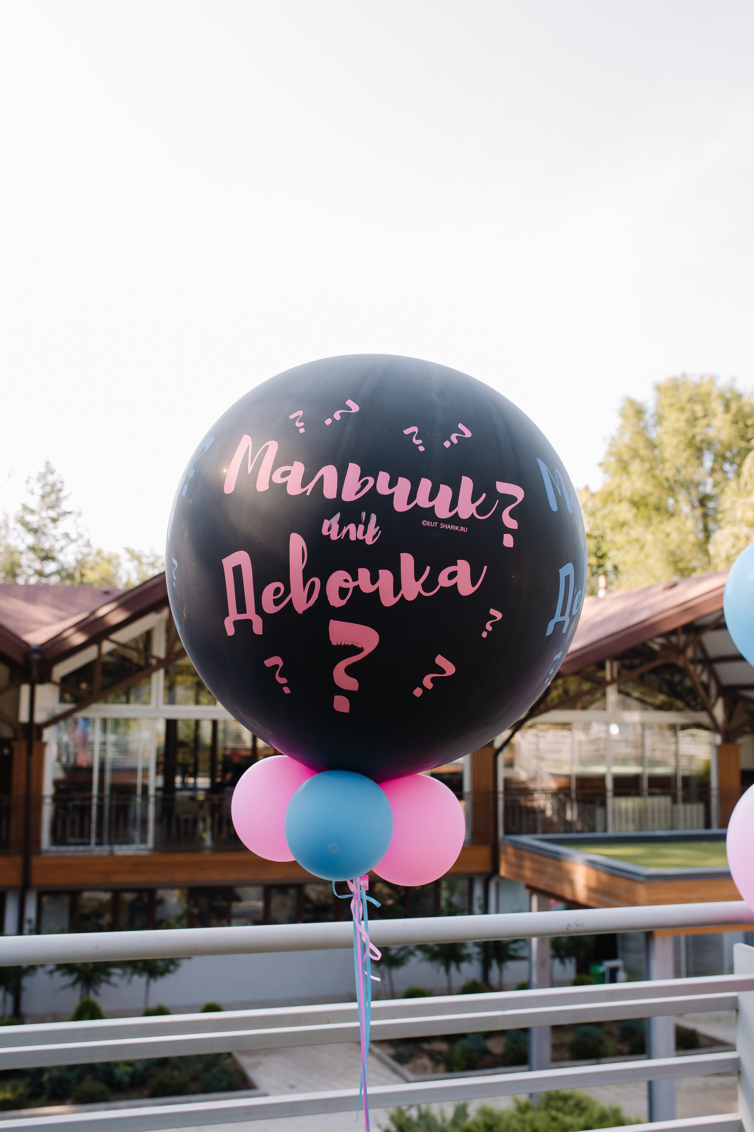 Мальчик или Девочка?. Свадебный и семейный фотограф в Алматы Laura Dosmann