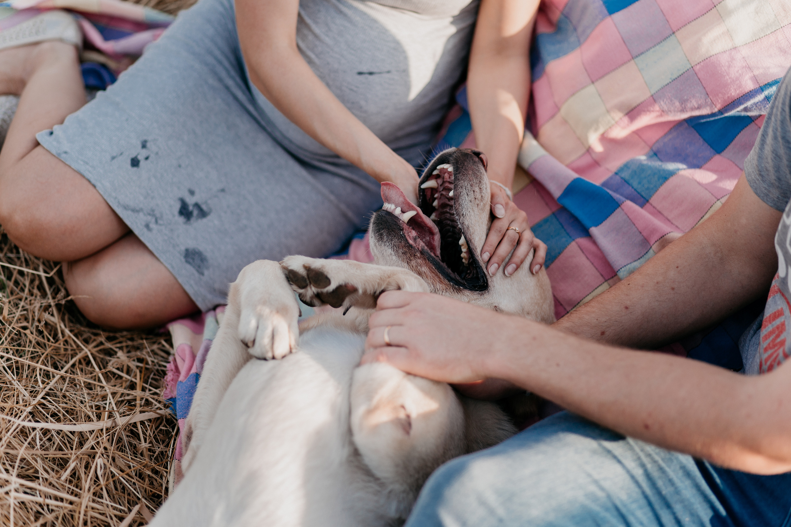 В ожидании Чуда. Свадебный и семейный фотограф в Алматы Laura Dosmann