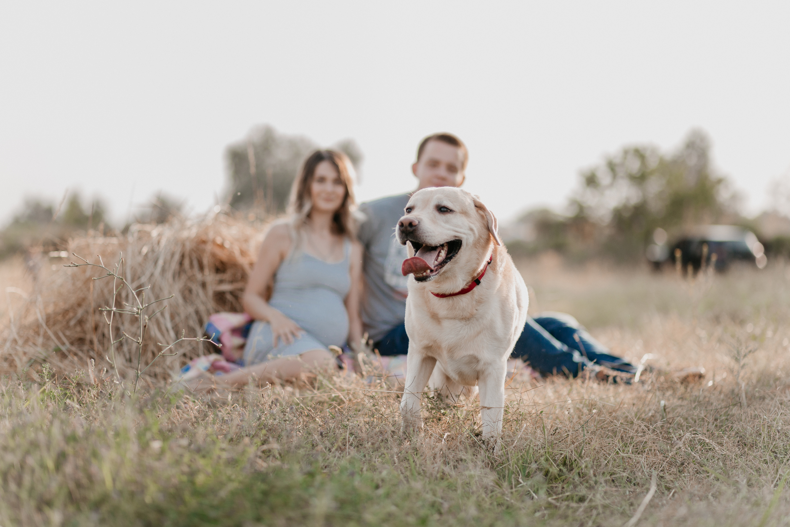 В ожидании Чуда. Свадебный и семейный фотограф в Алматы Laura Dosmann