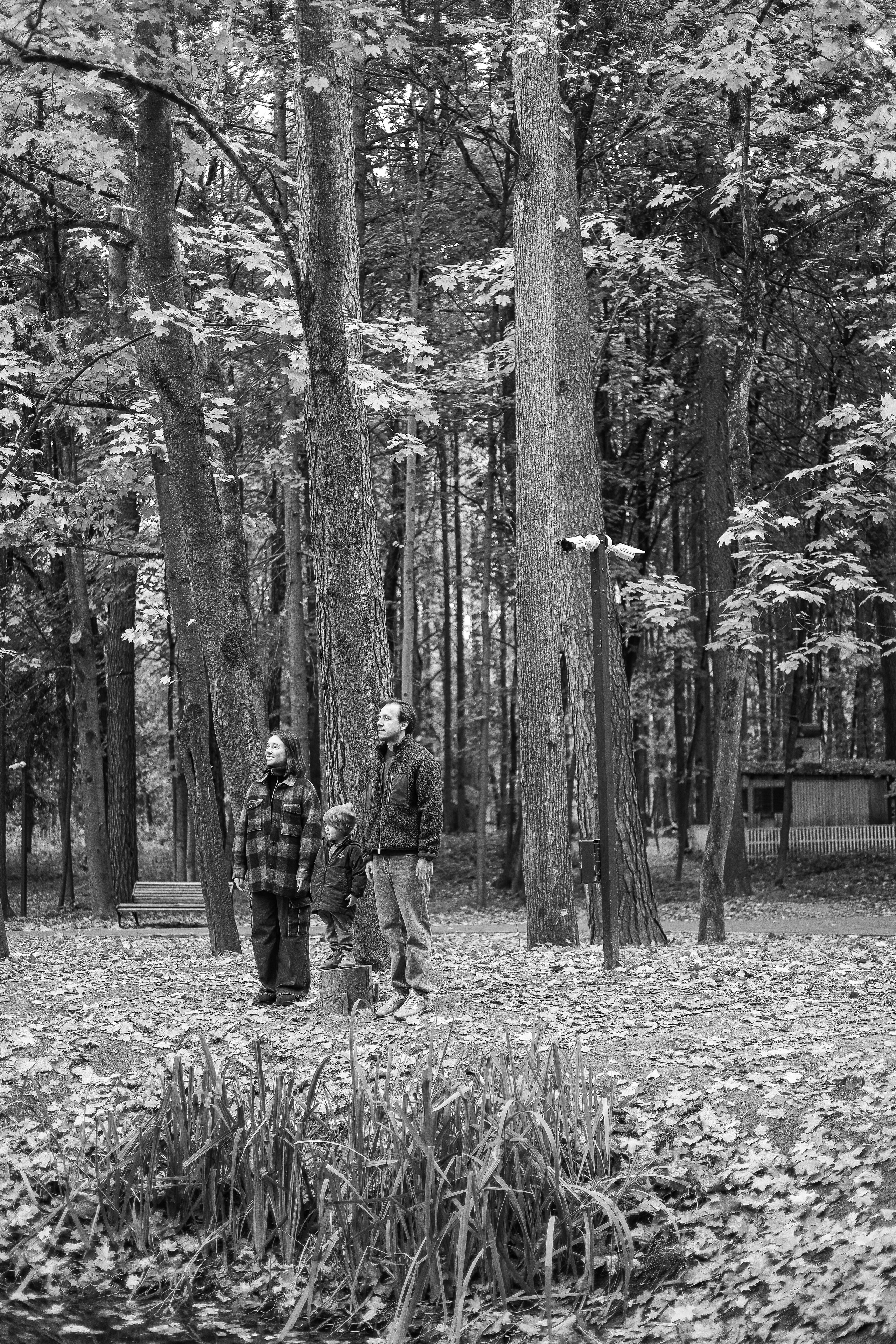 Прогулка в Переделкино 🍁. Мария Бриль семейный и детский Lifestyle фотограф Москва