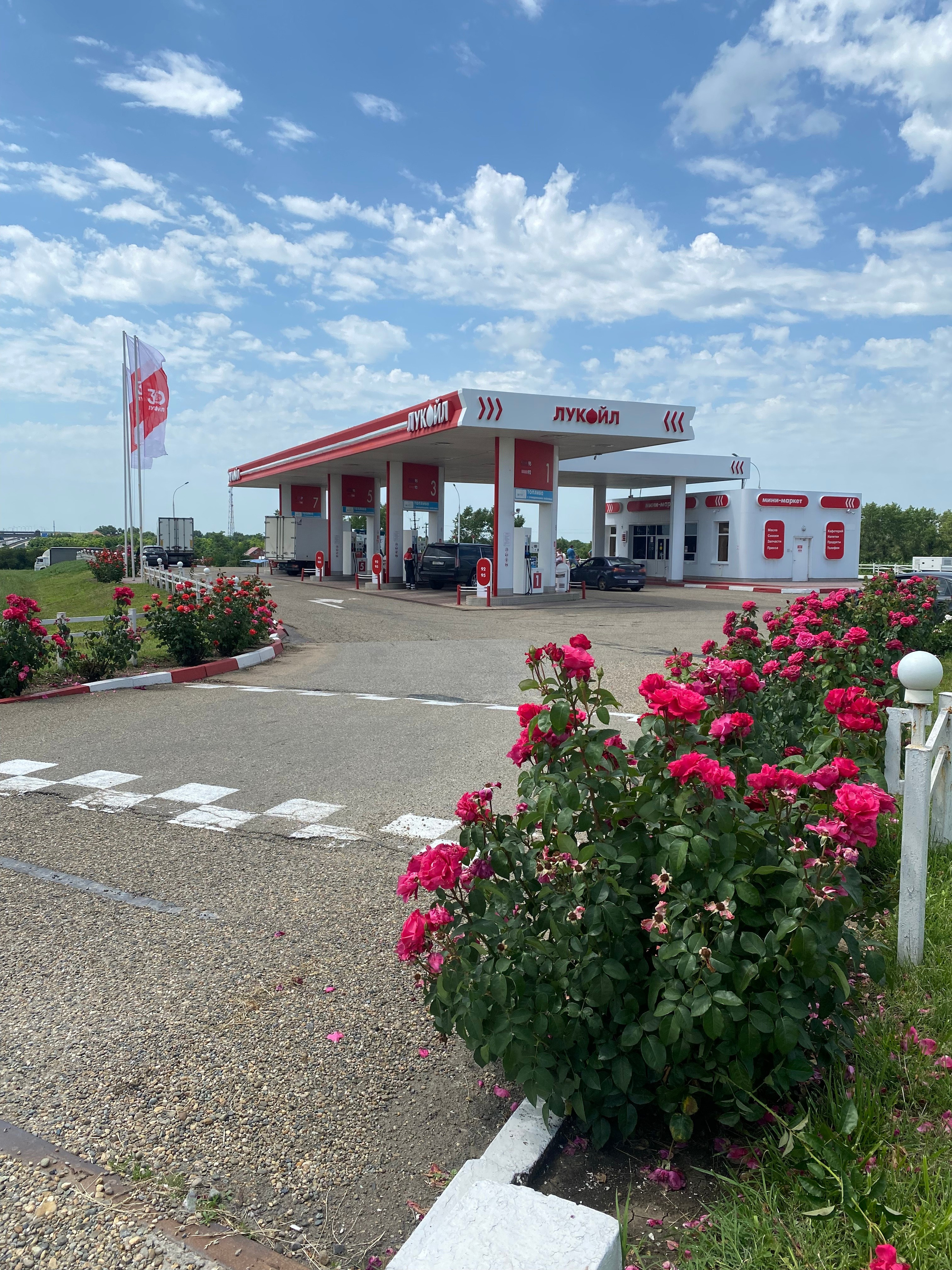 Пляжный поселок — 21. Своя Мастерская