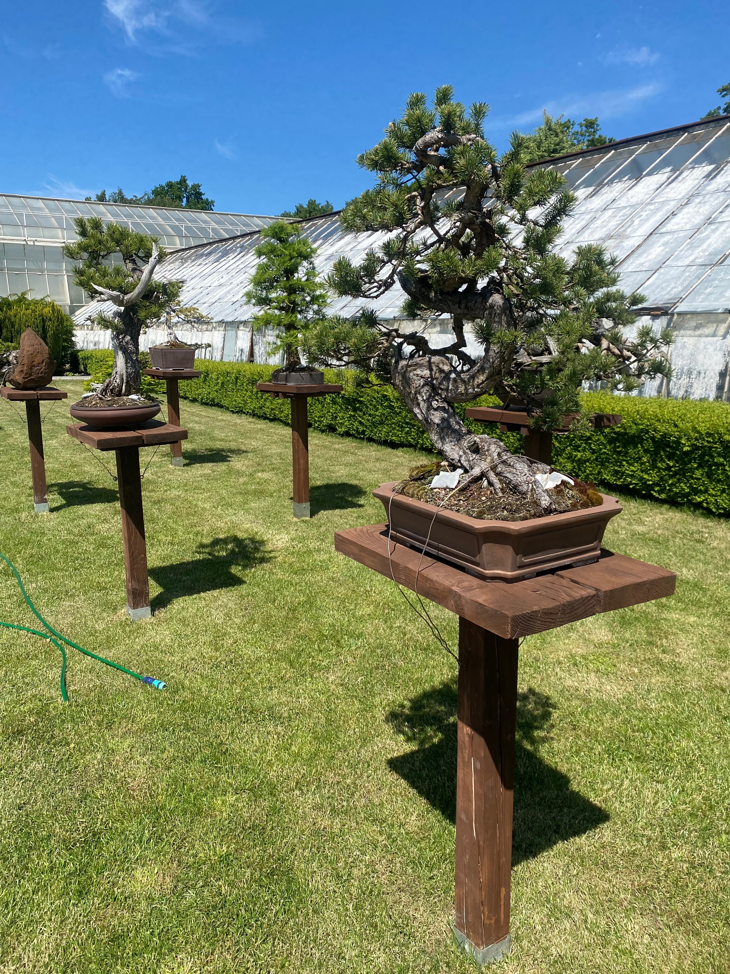 Валбджих. Своя Мастерская