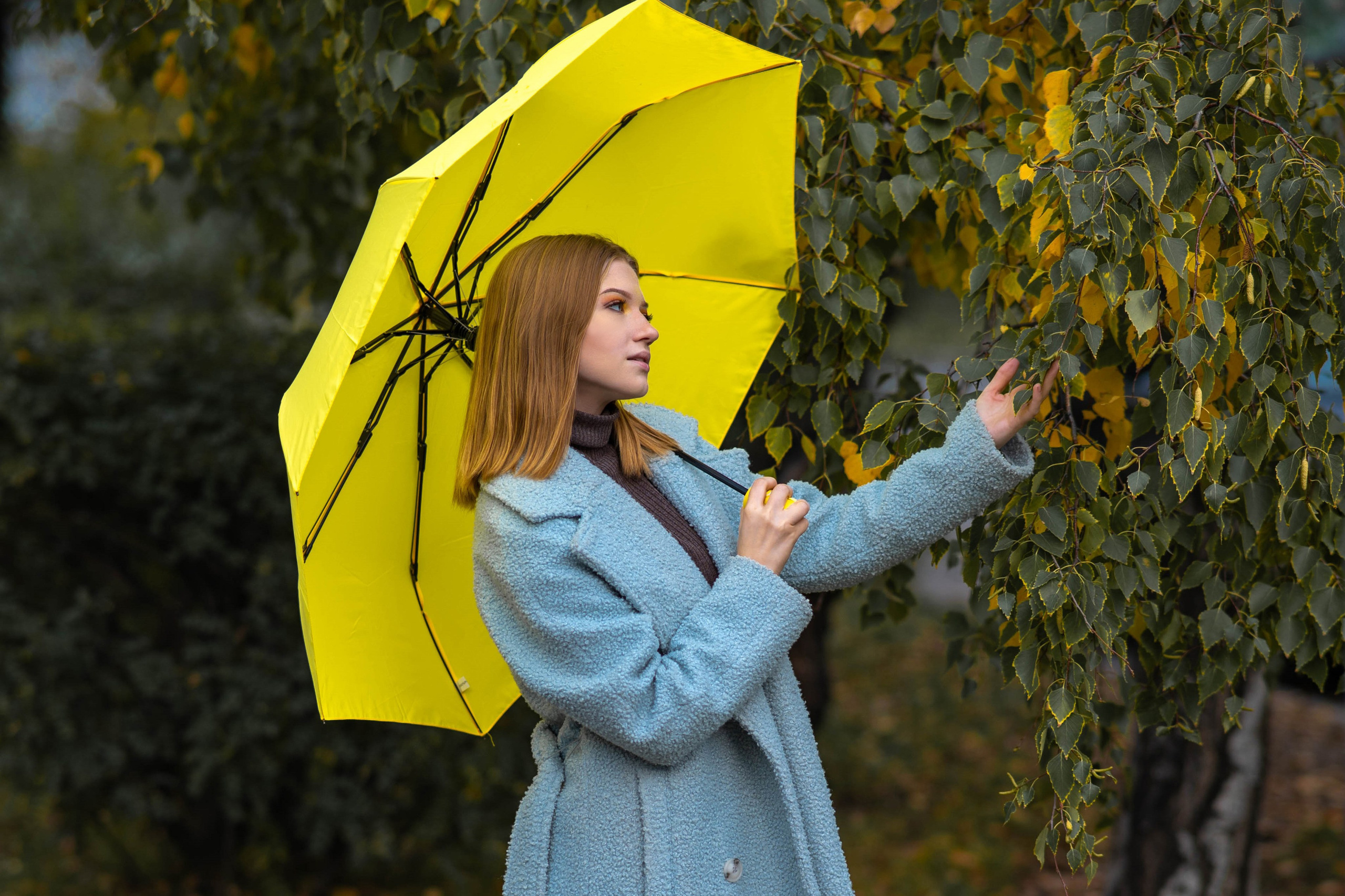 Осенняя индивидуальная съемка на фоне пожелтевших деревьев. Семейный и свадебный фотограф в Абакане Юлия Су