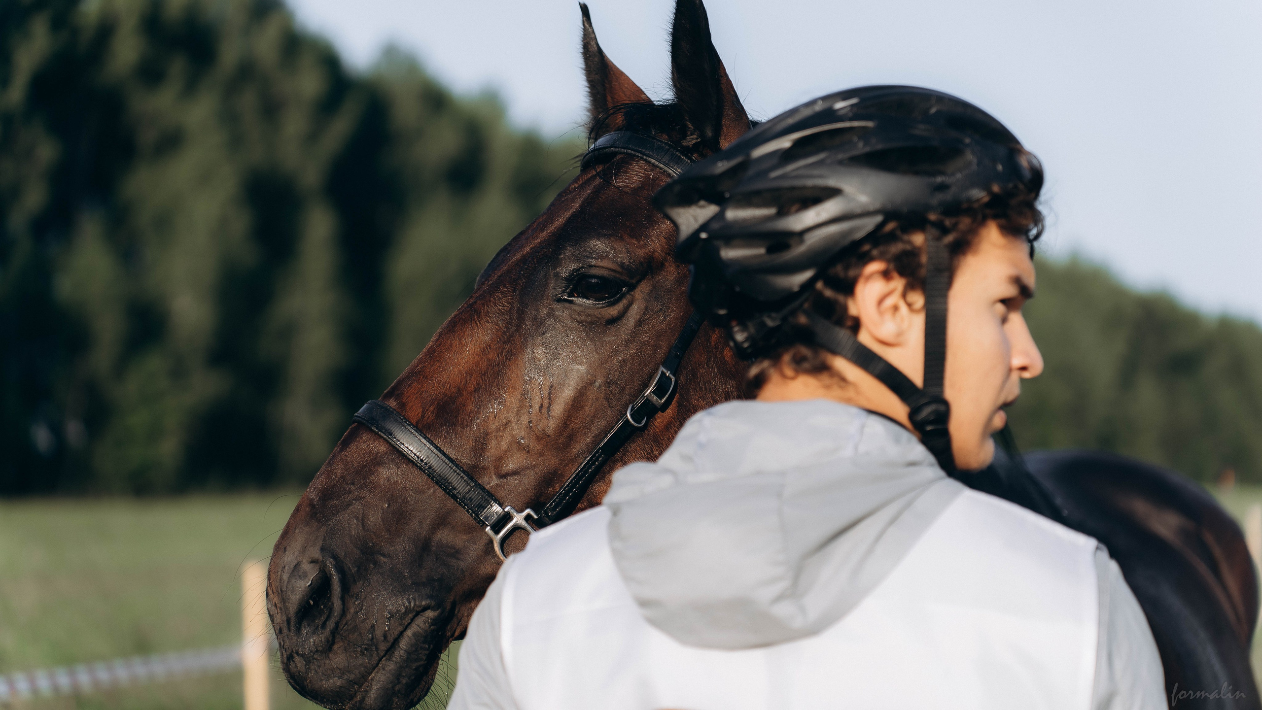 День Коня. Алиса Никитцова | Фотограф в Казани