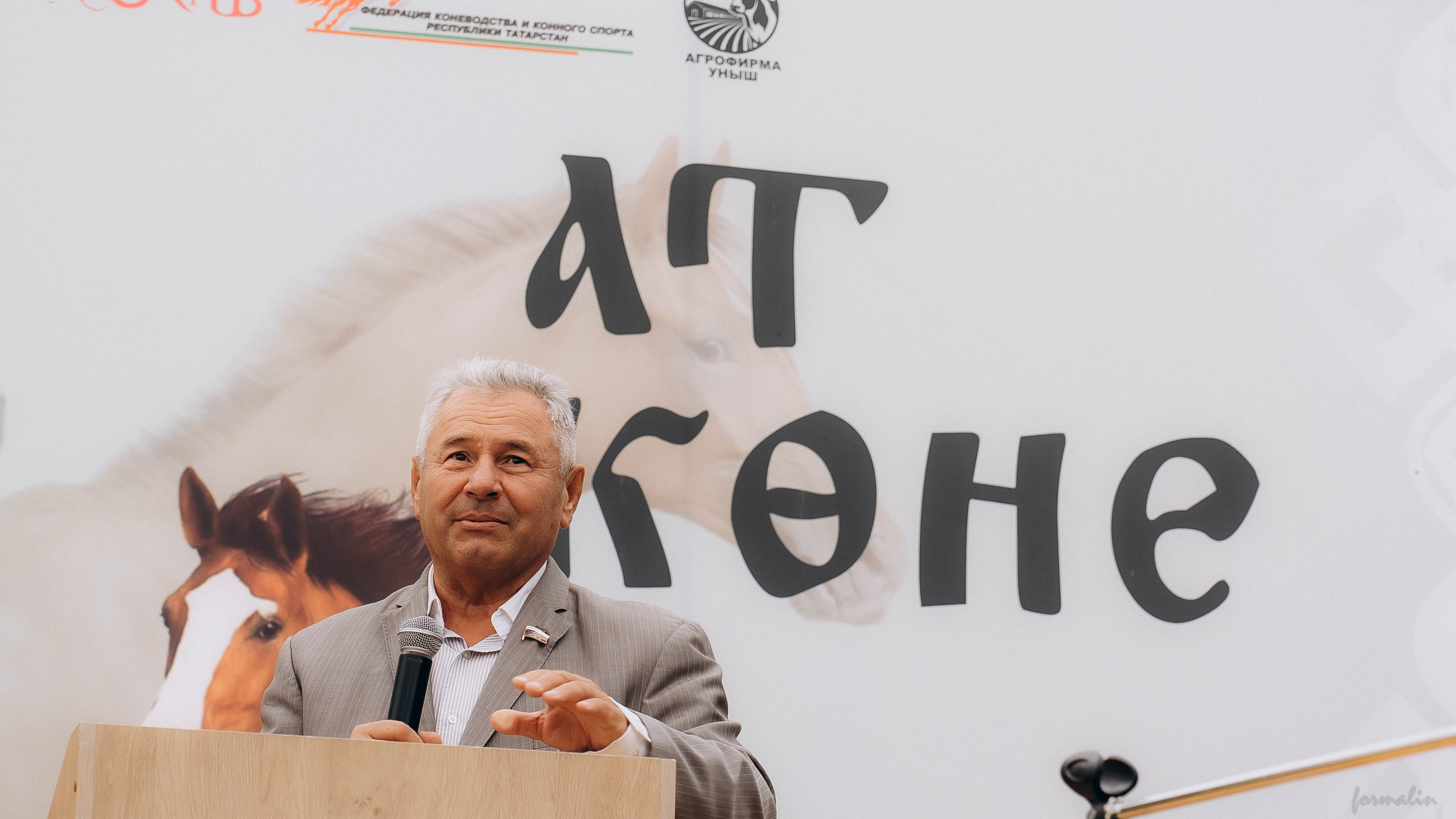 День Коня. Алиса Никитцова | Фотограф в Казани