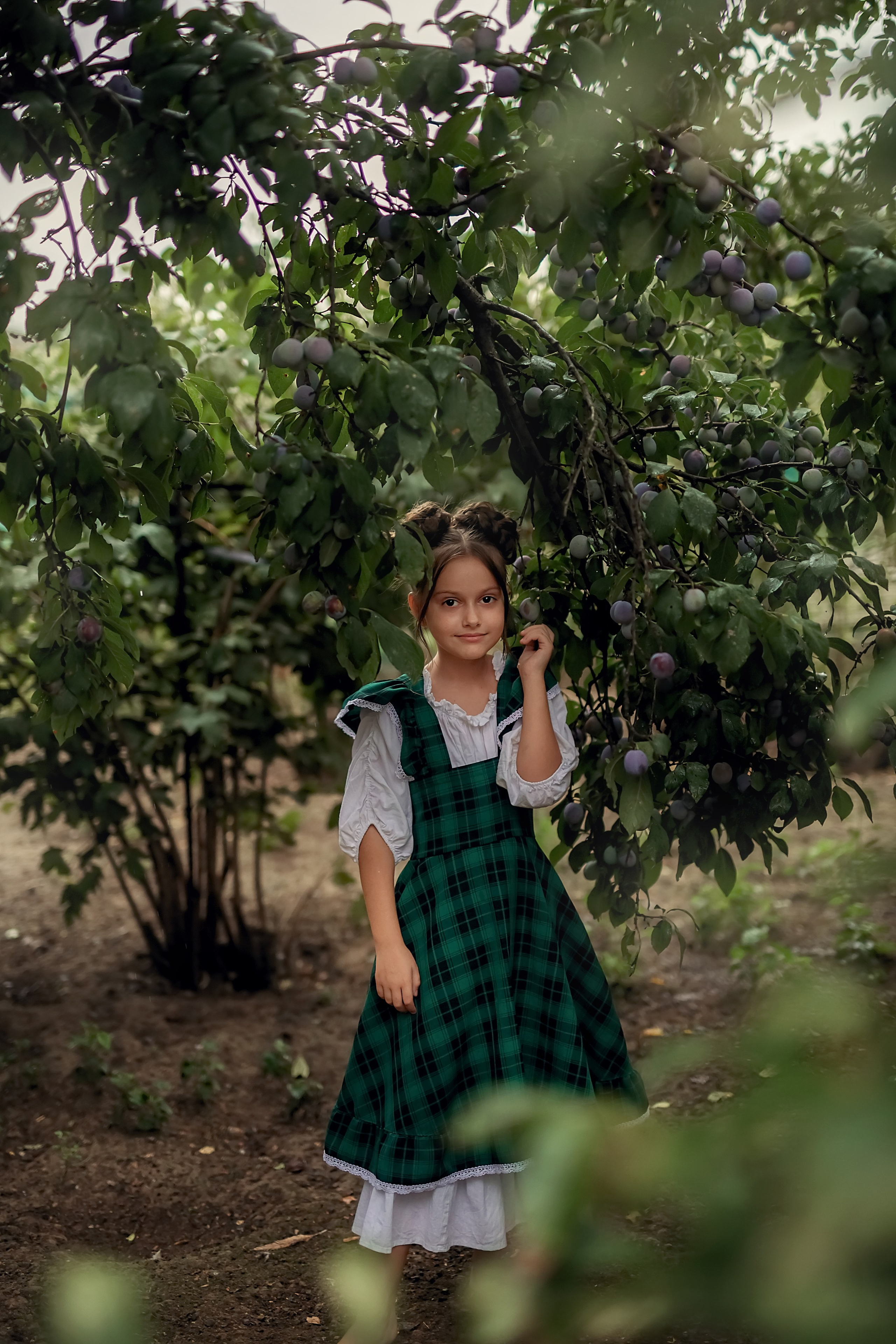 Сливовая история. Семейный и детский фотограф Екатерина Савёлова