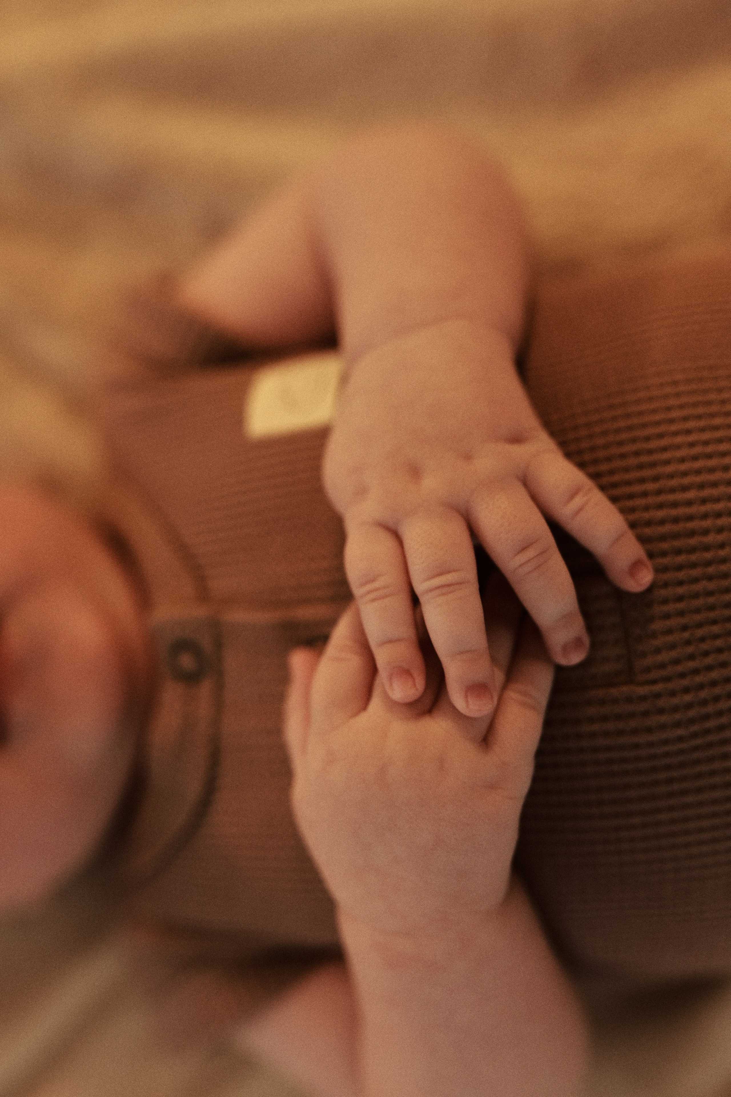Семейная фотосессия уличная прогулочная домашняя ньюборн newborn детская съемка. Семейный фотограф Виолетта Ватман