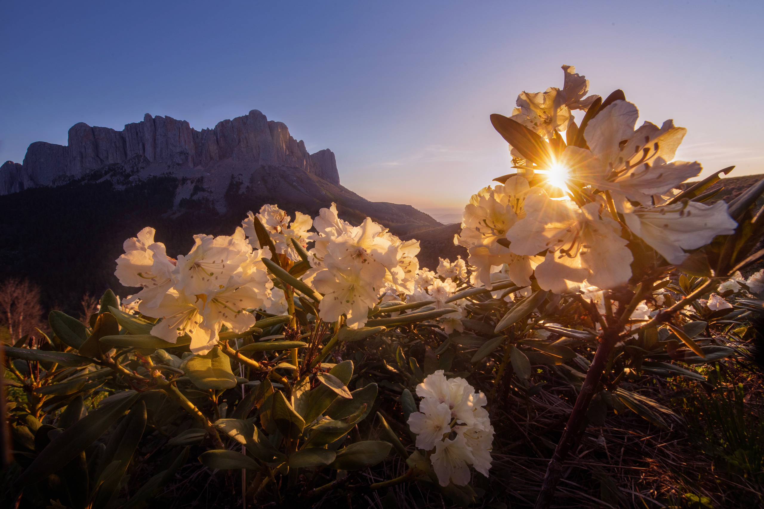 Russian North. Landscape photographer Elena Ermolina