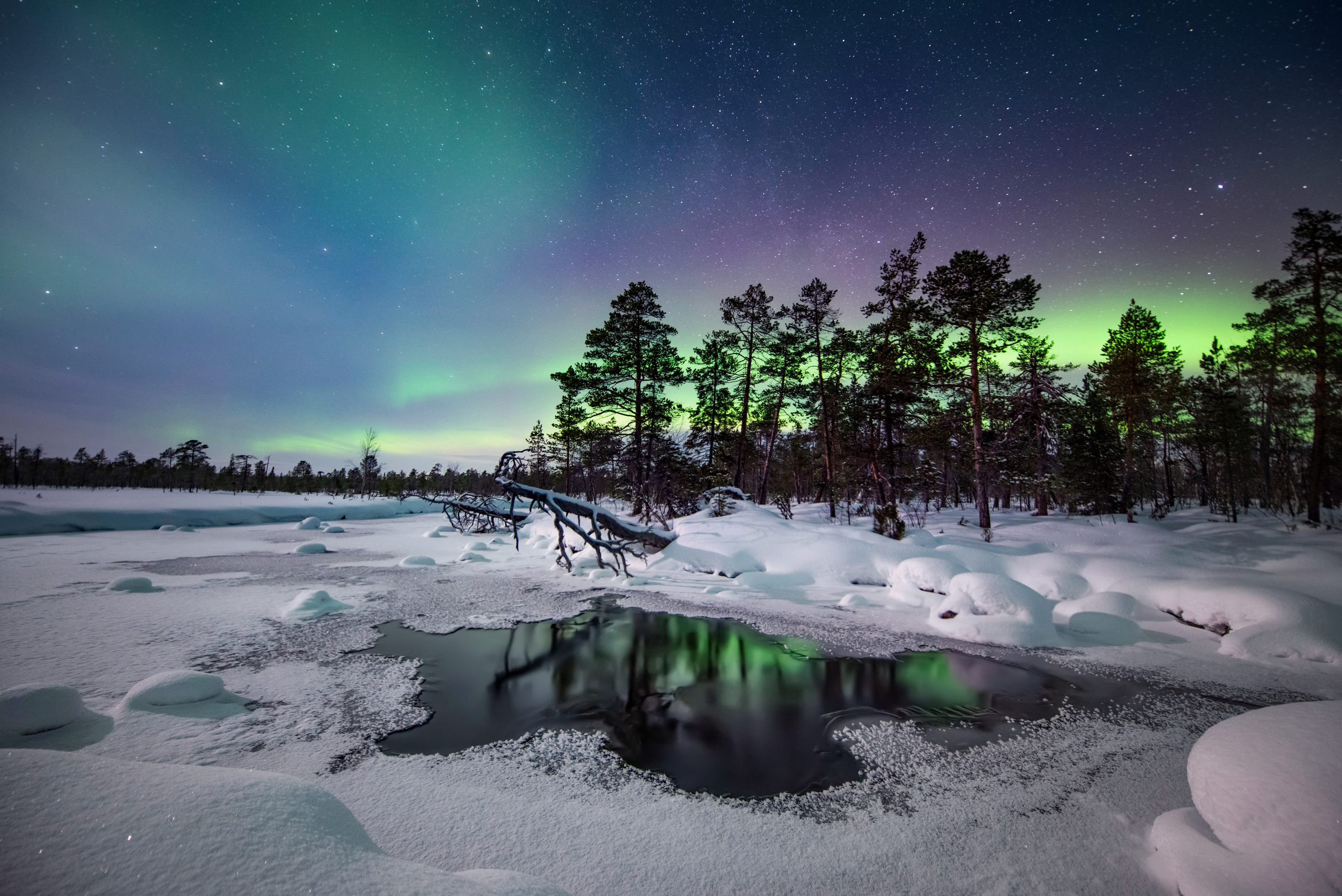 Пейзажный фотограф Ермолина Елена