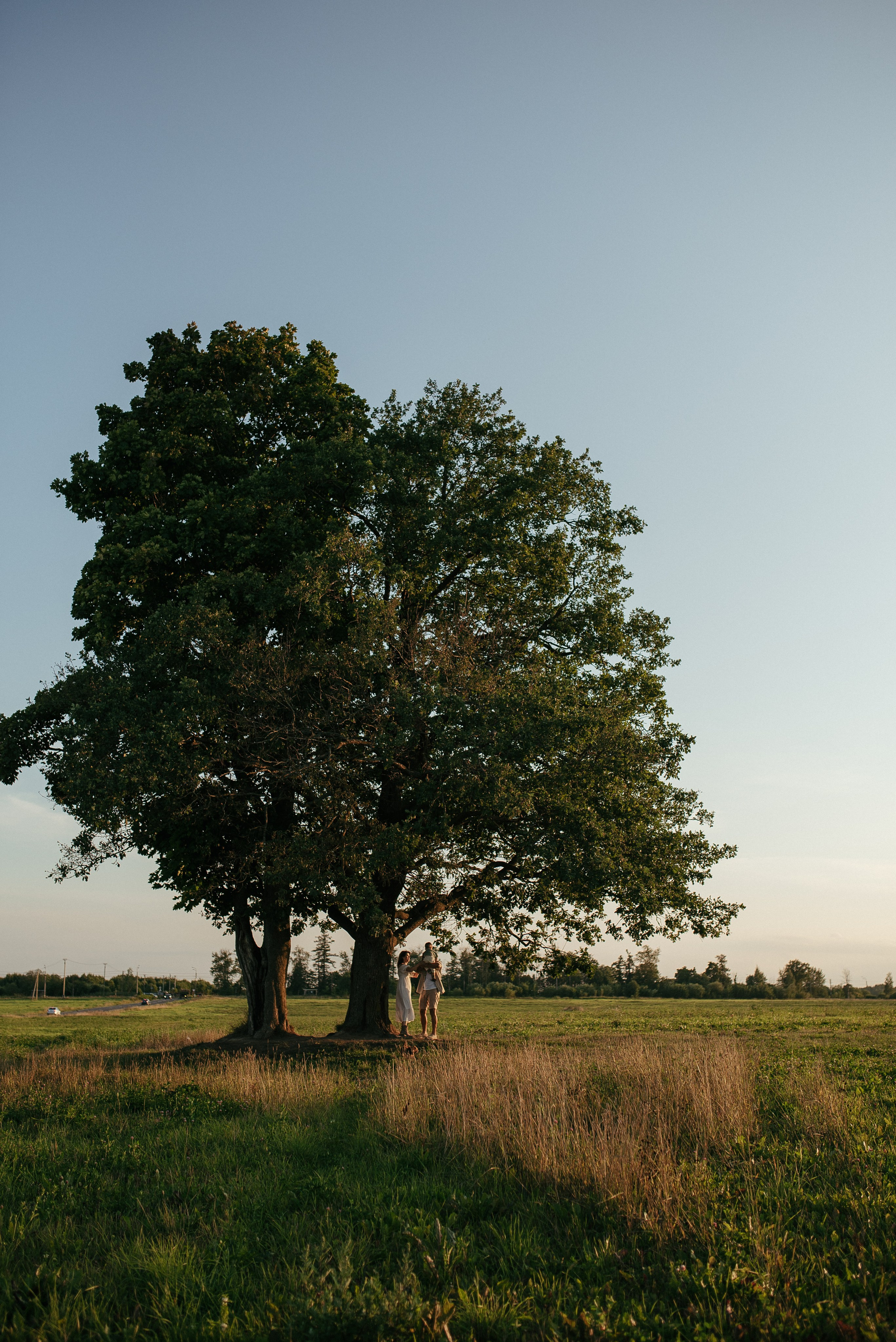 Fam. Семейный фотограф СПб