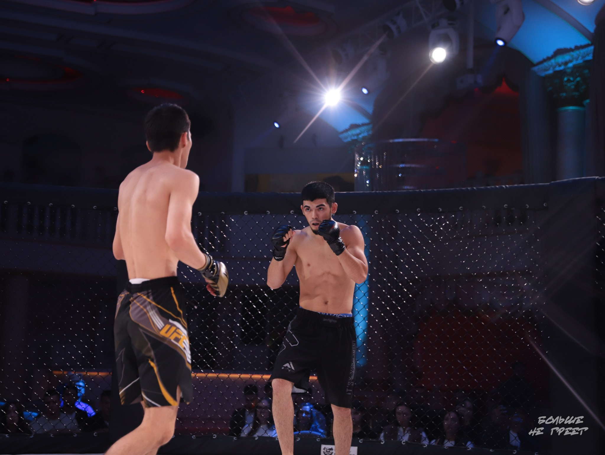 SABR FIGHTING. Больше не греет