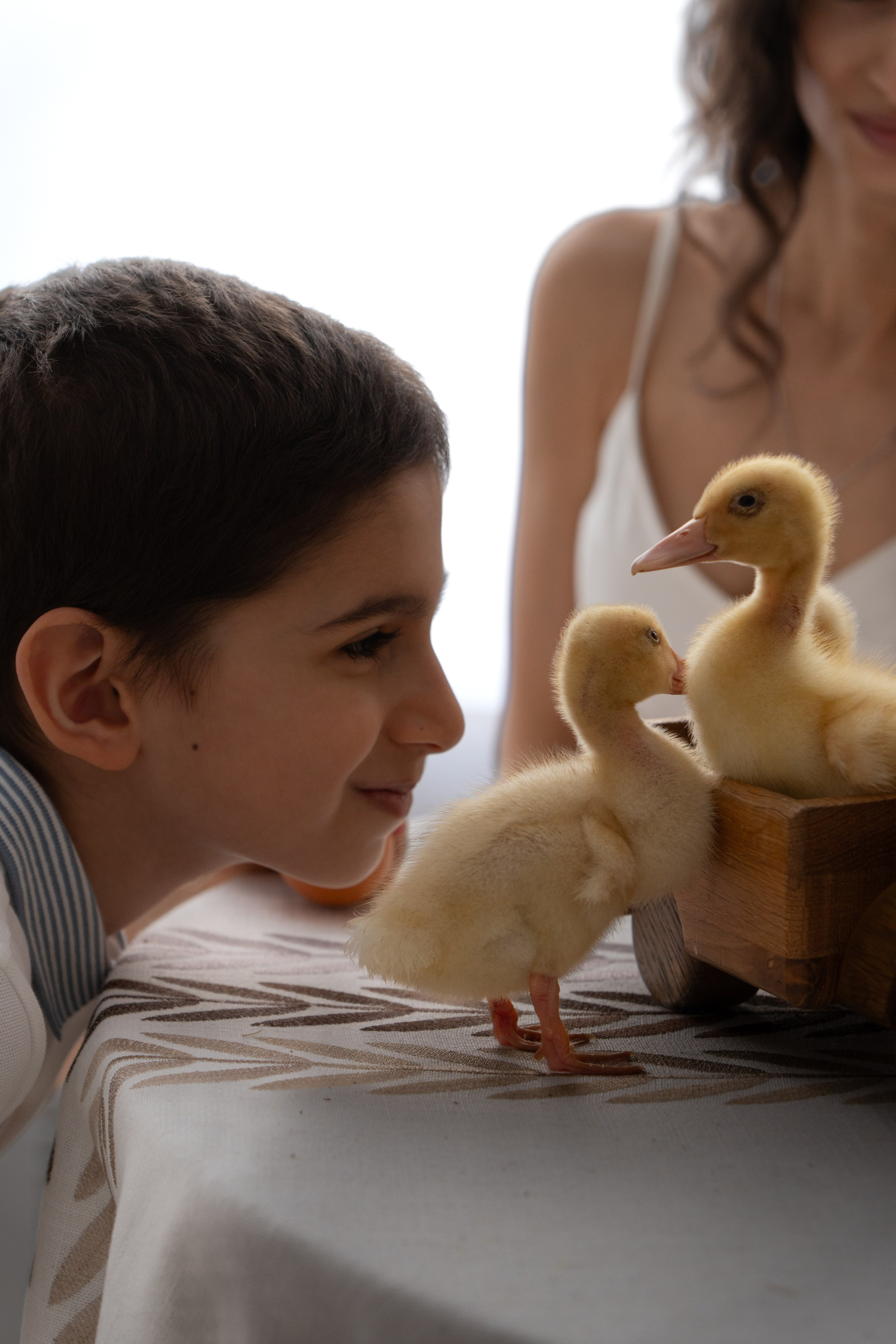Семейная фотосессия на Пасху. Фото и видео съёмка в Москве и МО Александр Чапала и Трояк Алеся