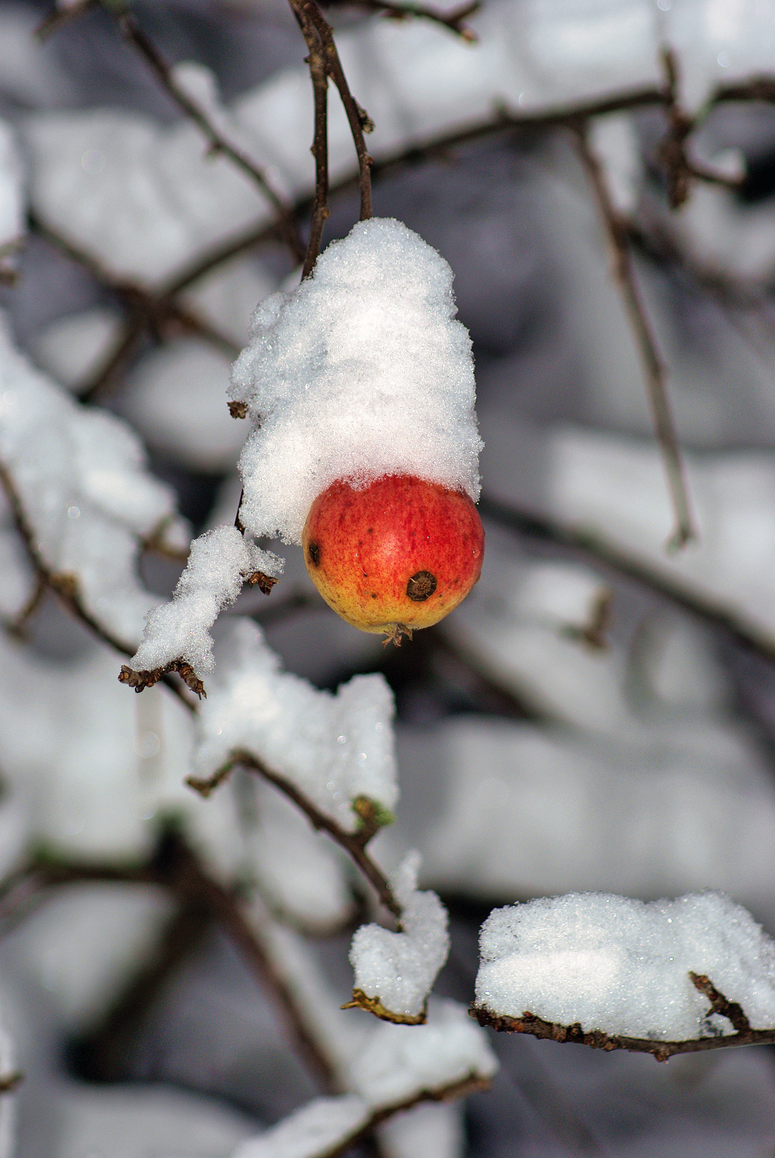 Наша мать — природа. Фотограф Владимир Артамонов
