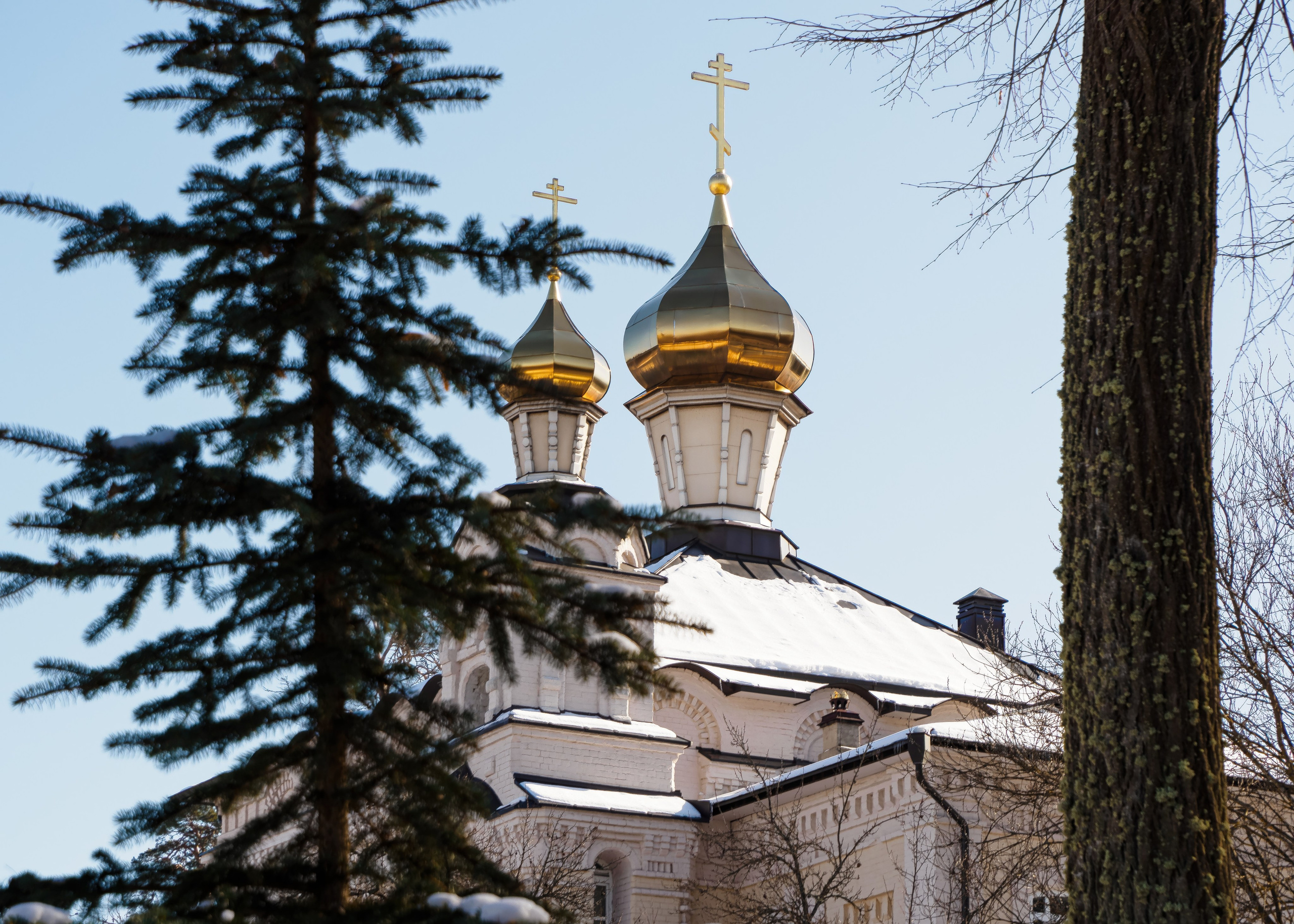 Оптина пустынь. Зима 2023 года. Фотограф Никифоров-Гордеев Сергей. Москва и МО