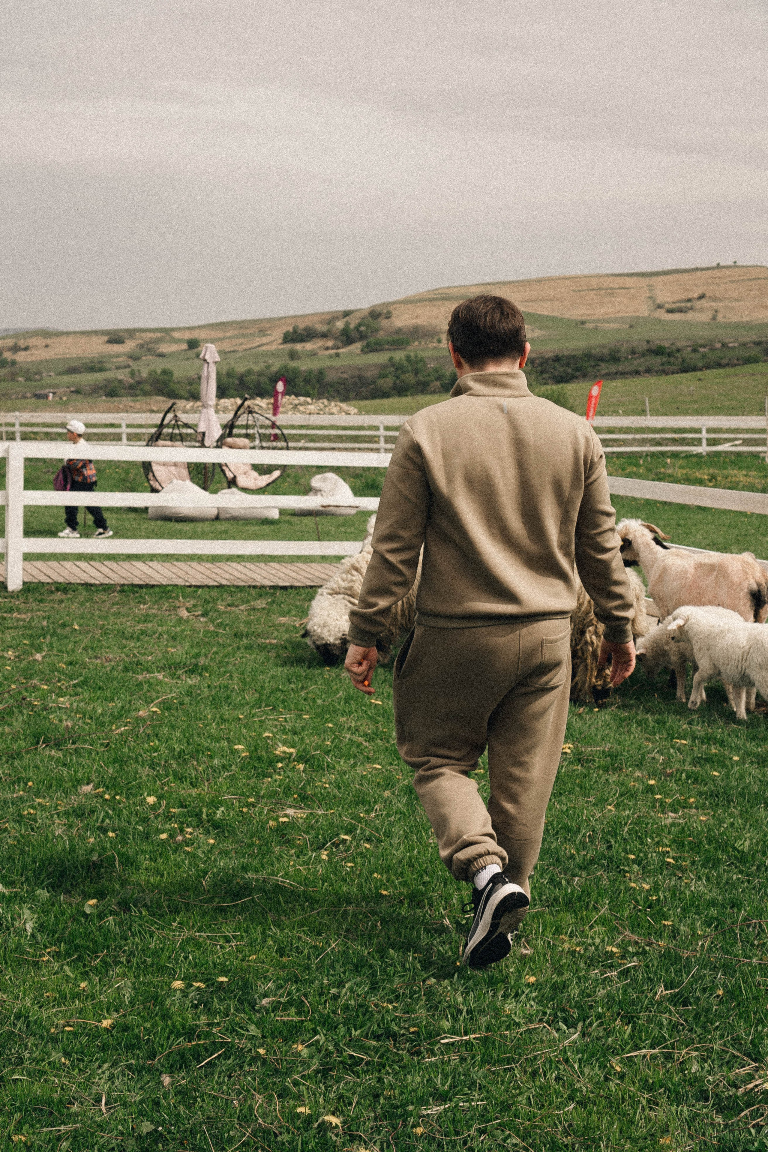 Ферма Альпак. Профессиональный фотограф, Санкт-Петербург — Виктория Богомолова