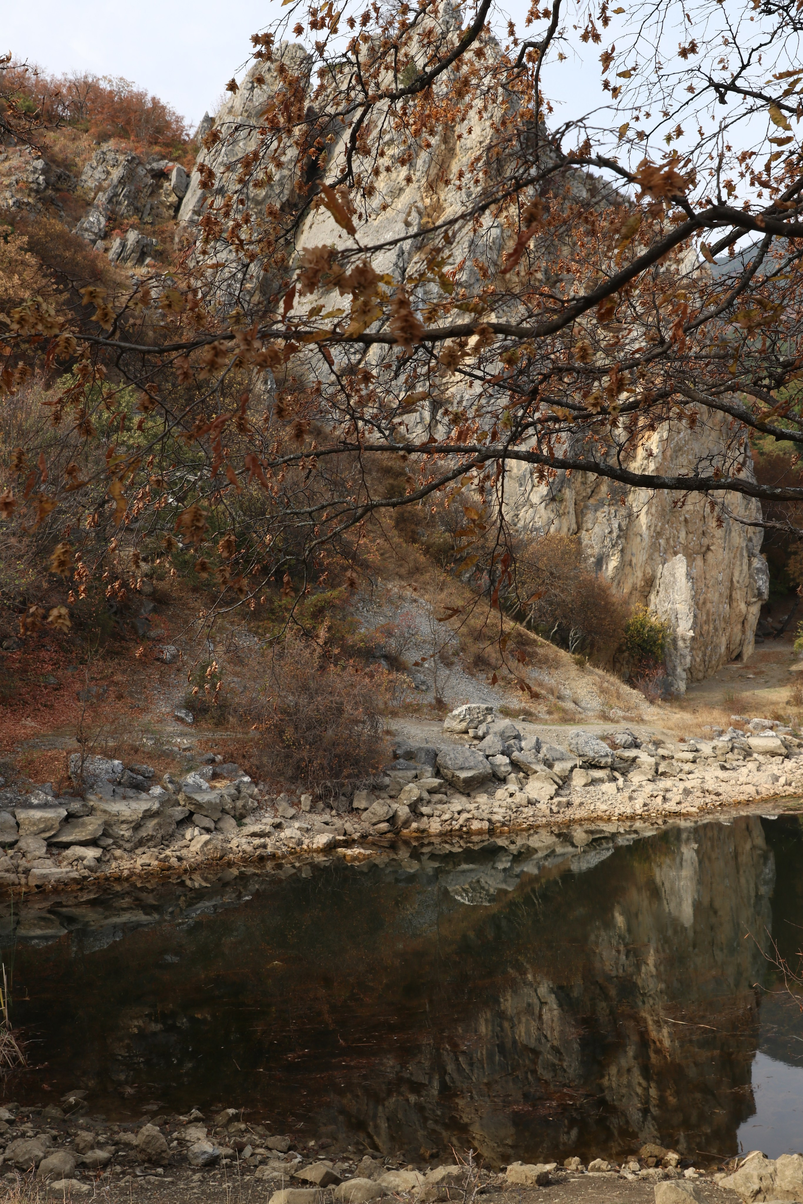 Крым. ЮБК (Гурзуф, Судак и их окрестности). Ноябрь 2023. Путешественник-фотограф из Санкт-Петербурга Татьяна Свистулина