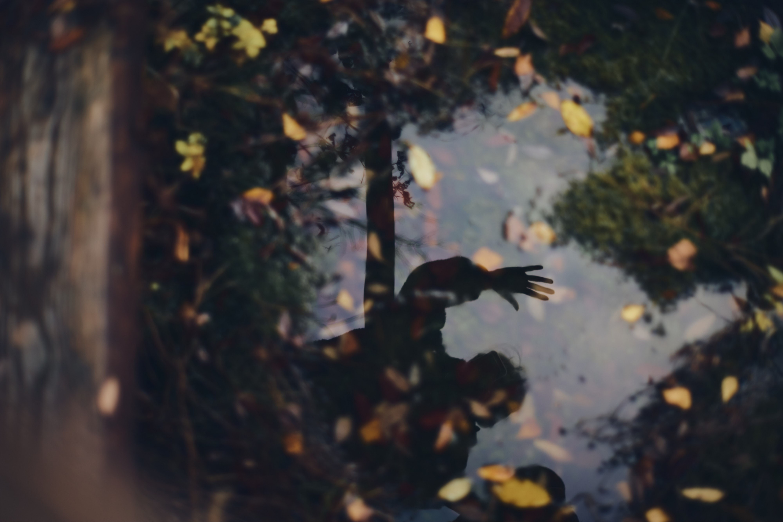 Осенние пейзажи Никола-Ленивца