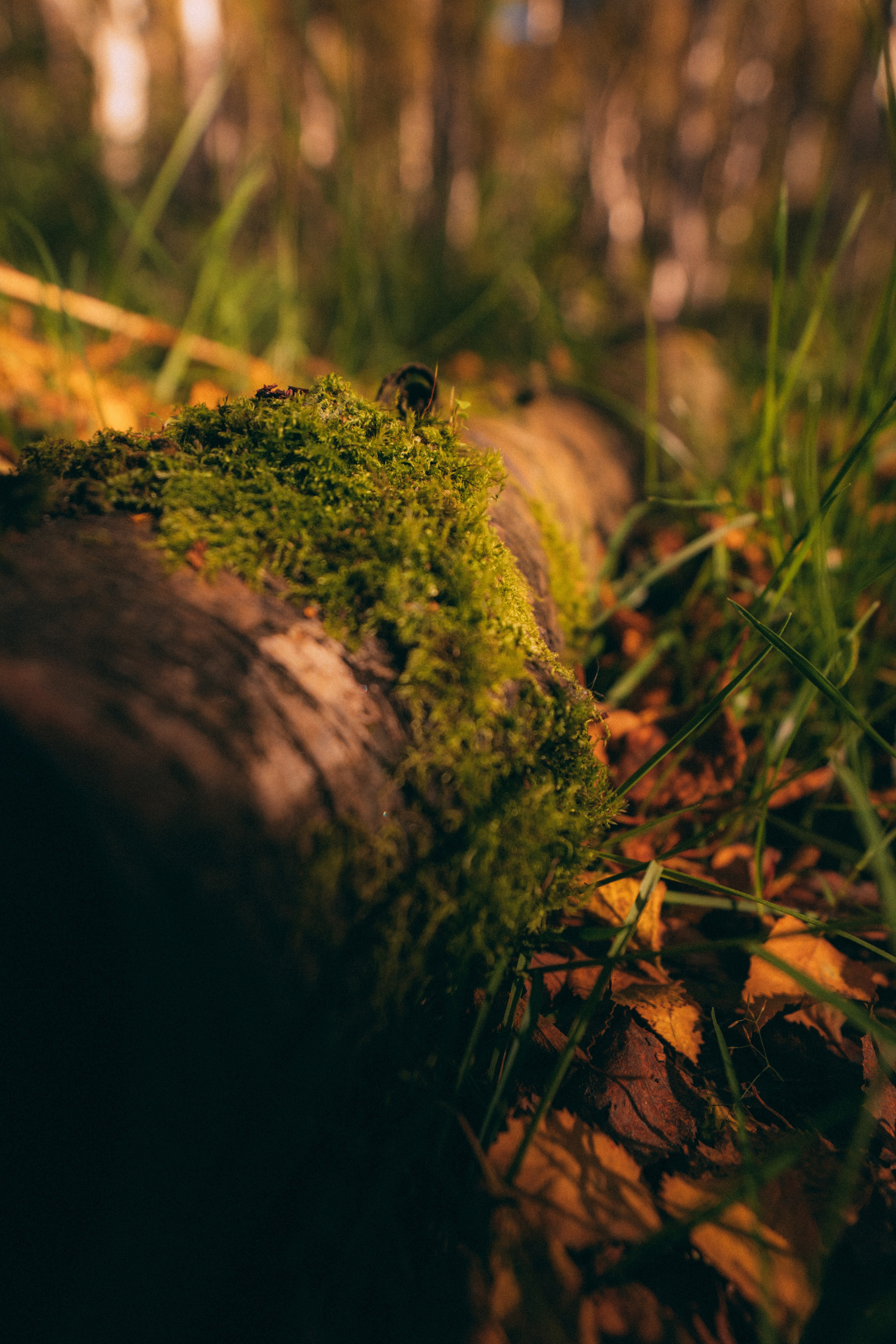 Мурманск. Фотограф Алиса Аспер