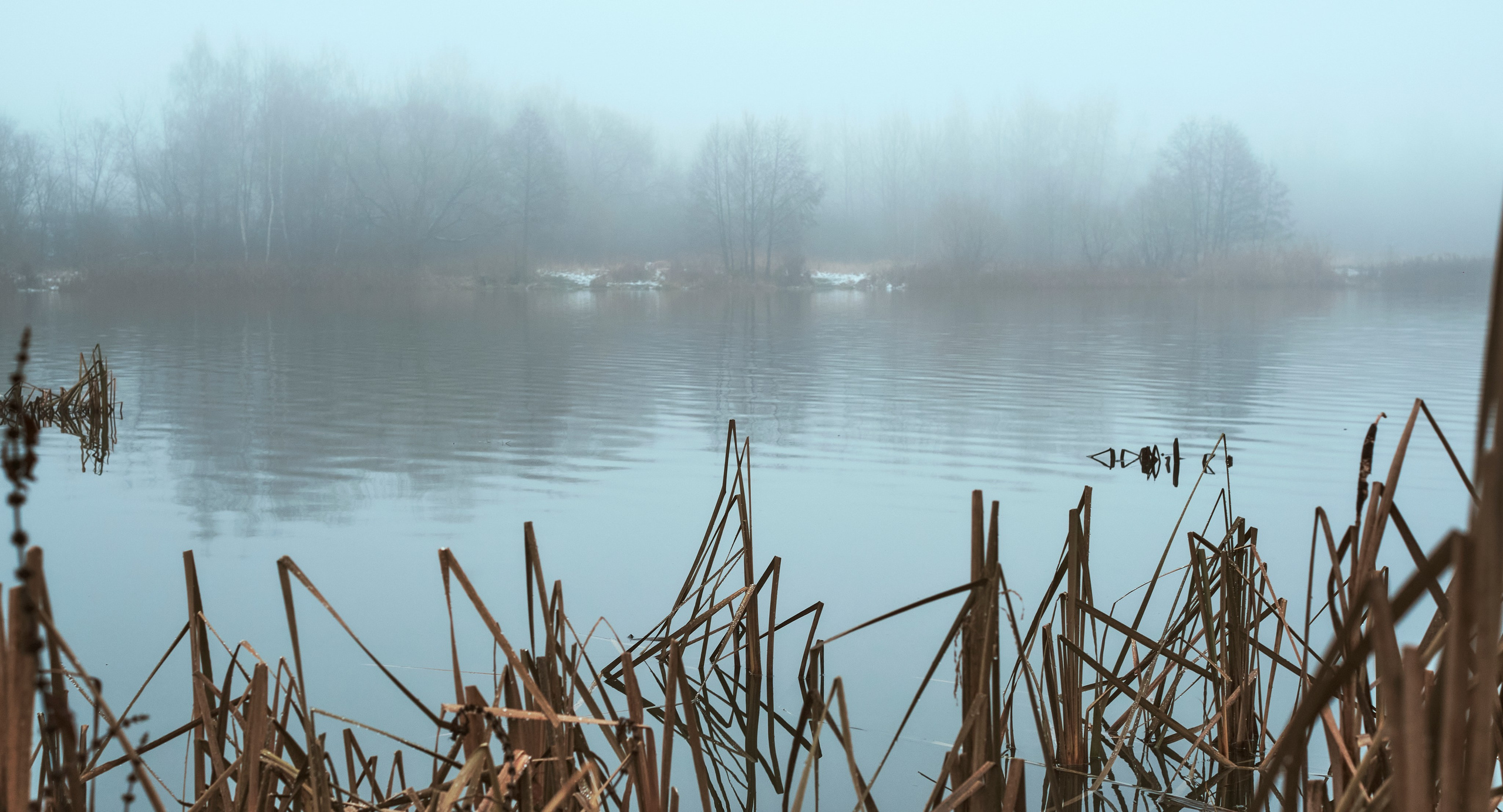 Съемкав туман. Фотограф для маркетплейсов в Иваново | Съемки одежды и белья