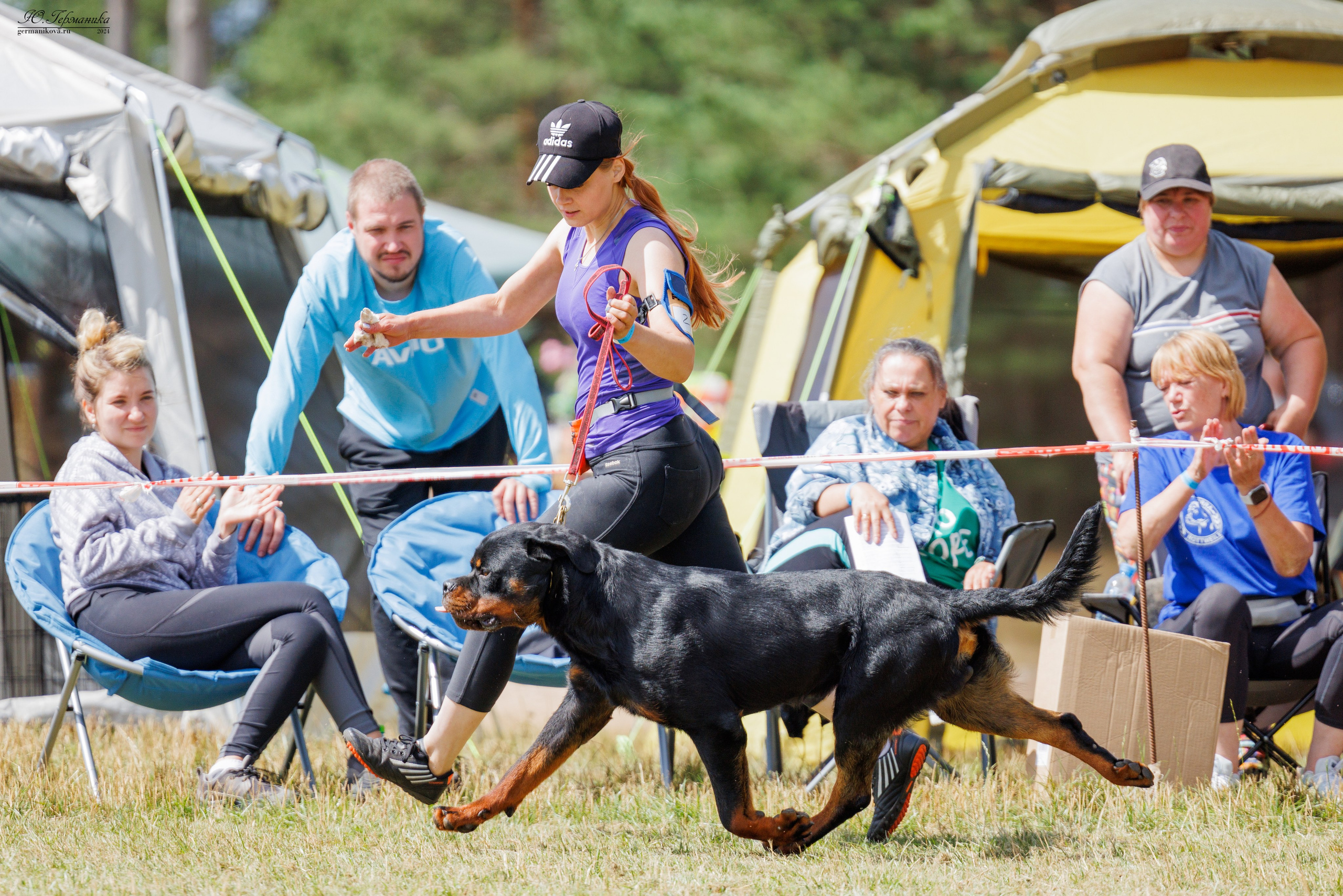 ПК и КЧК ротвейлеры Тверь 6-7.07.2024. Фотограф-анималист Юлия Германика