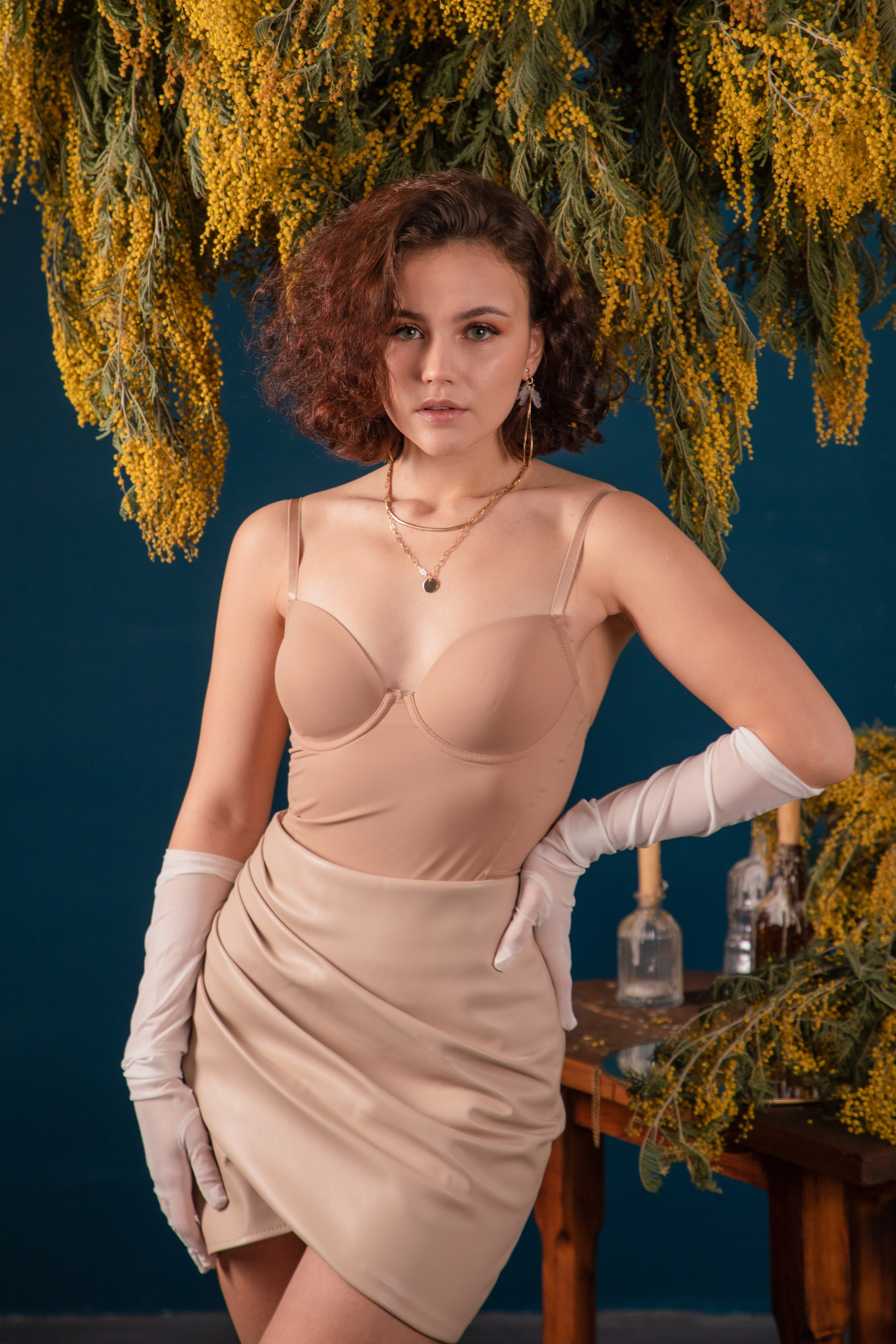 Мимозы. Фотограф Алексей Шуля — портфолио