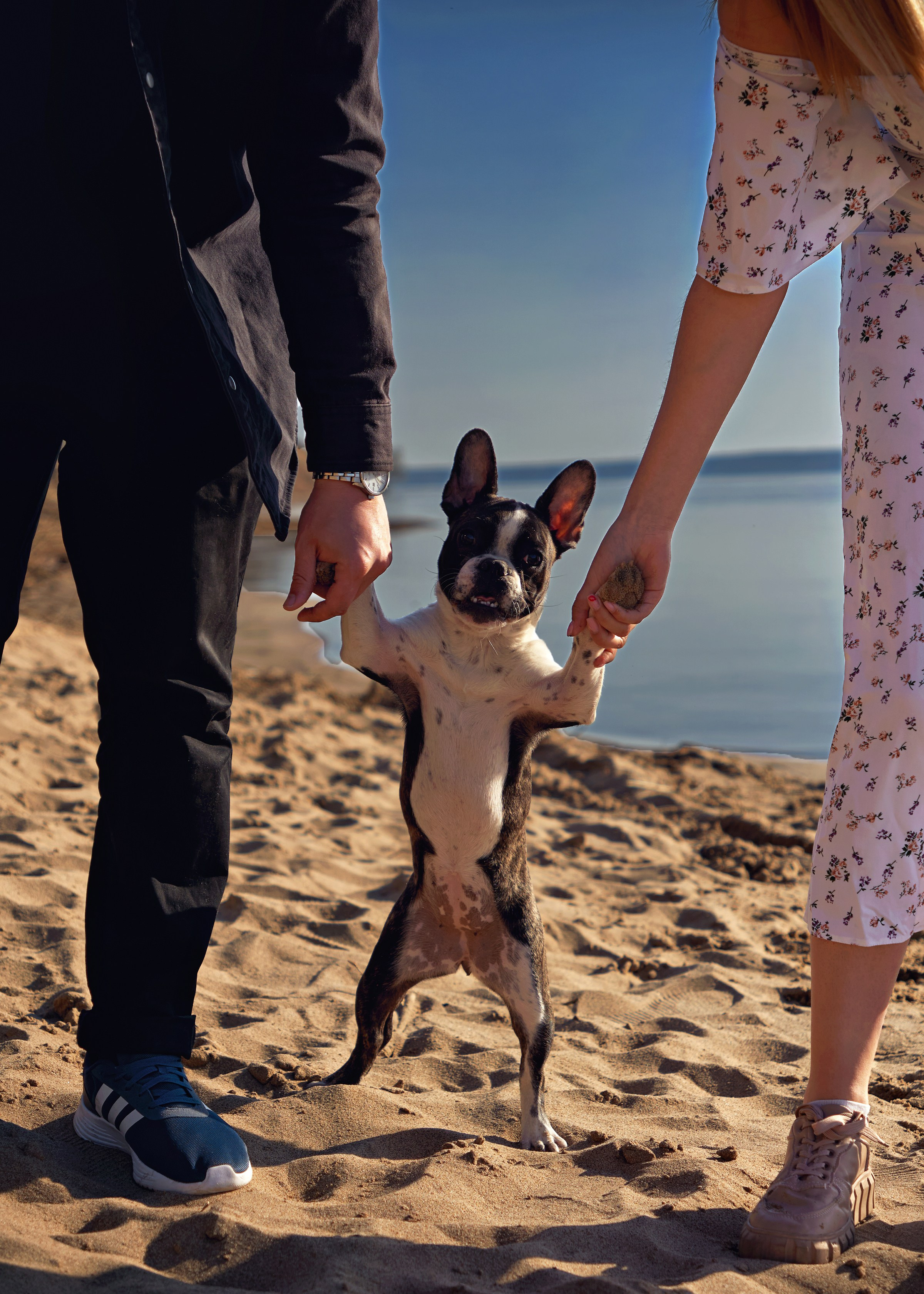 Никита & Дарья. Фотограф в Санкт-Петербурге Цуркан Алёна