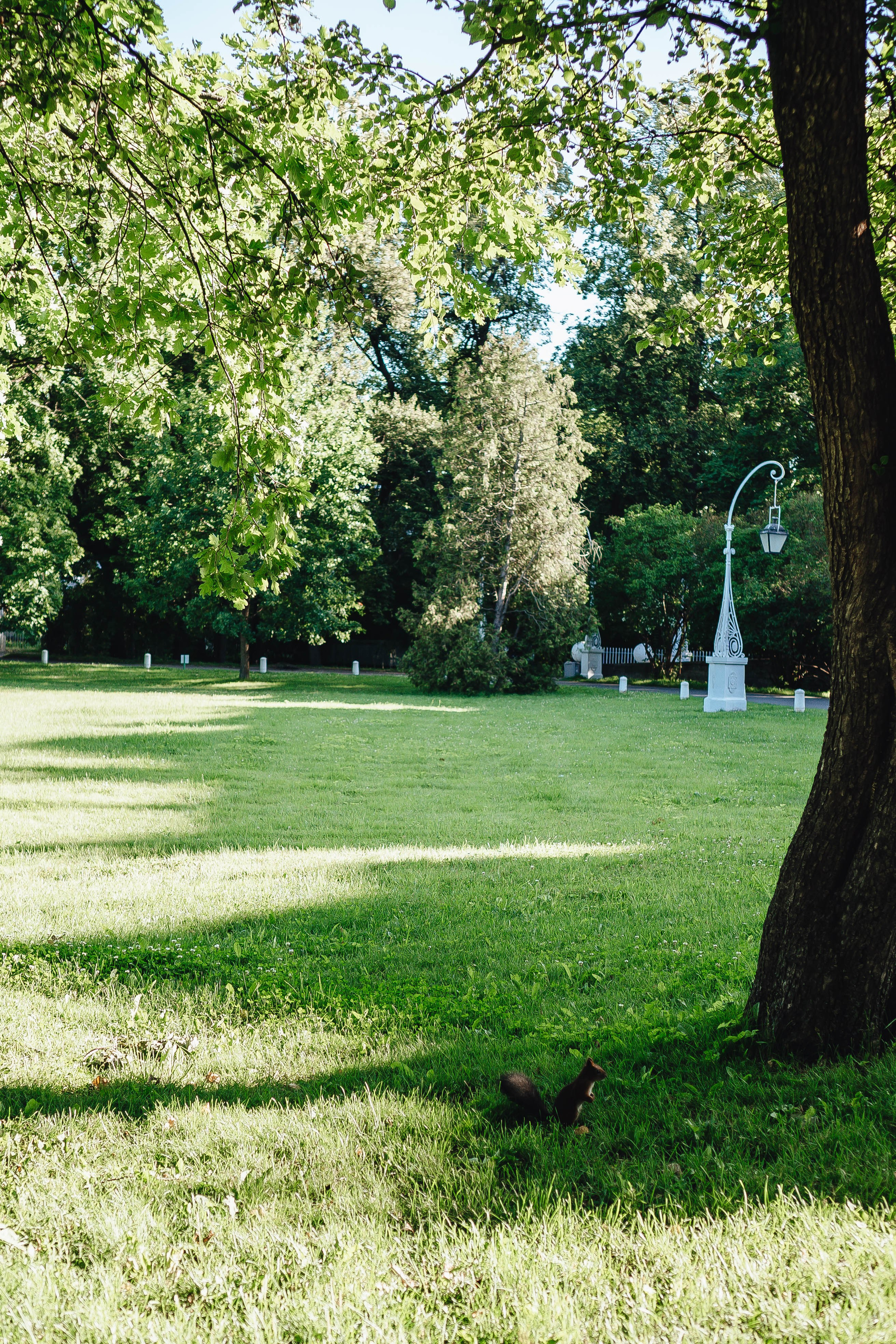 СВАДЕБНАЯ СЬЕМКА НА РАССВЕТЕ НА ЕЛАГИНОМ ОСТОРОВЕ. Профессиональный фотограф, Санкт-Петербург — Виктория Богомолова