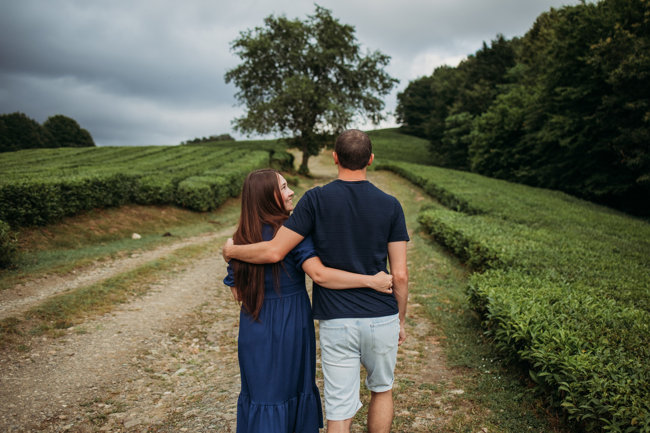 Чайные плантации мацеста. Фотограф Сочи Татьяна Зорина