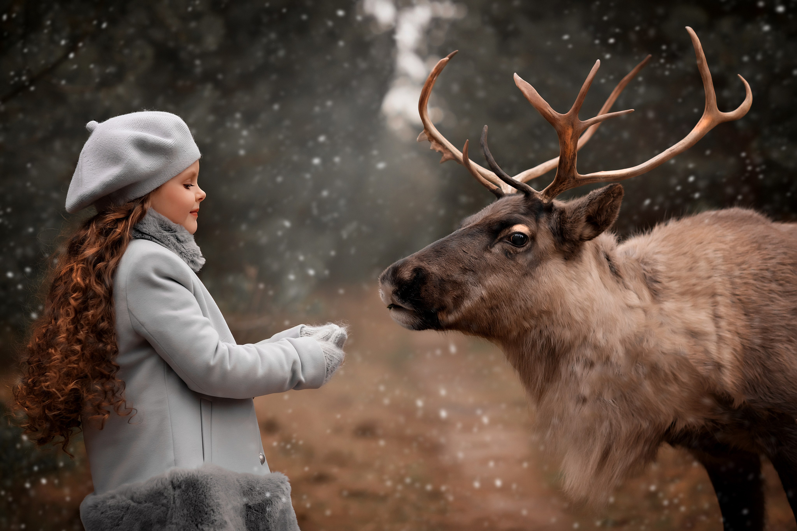 Обучение фото