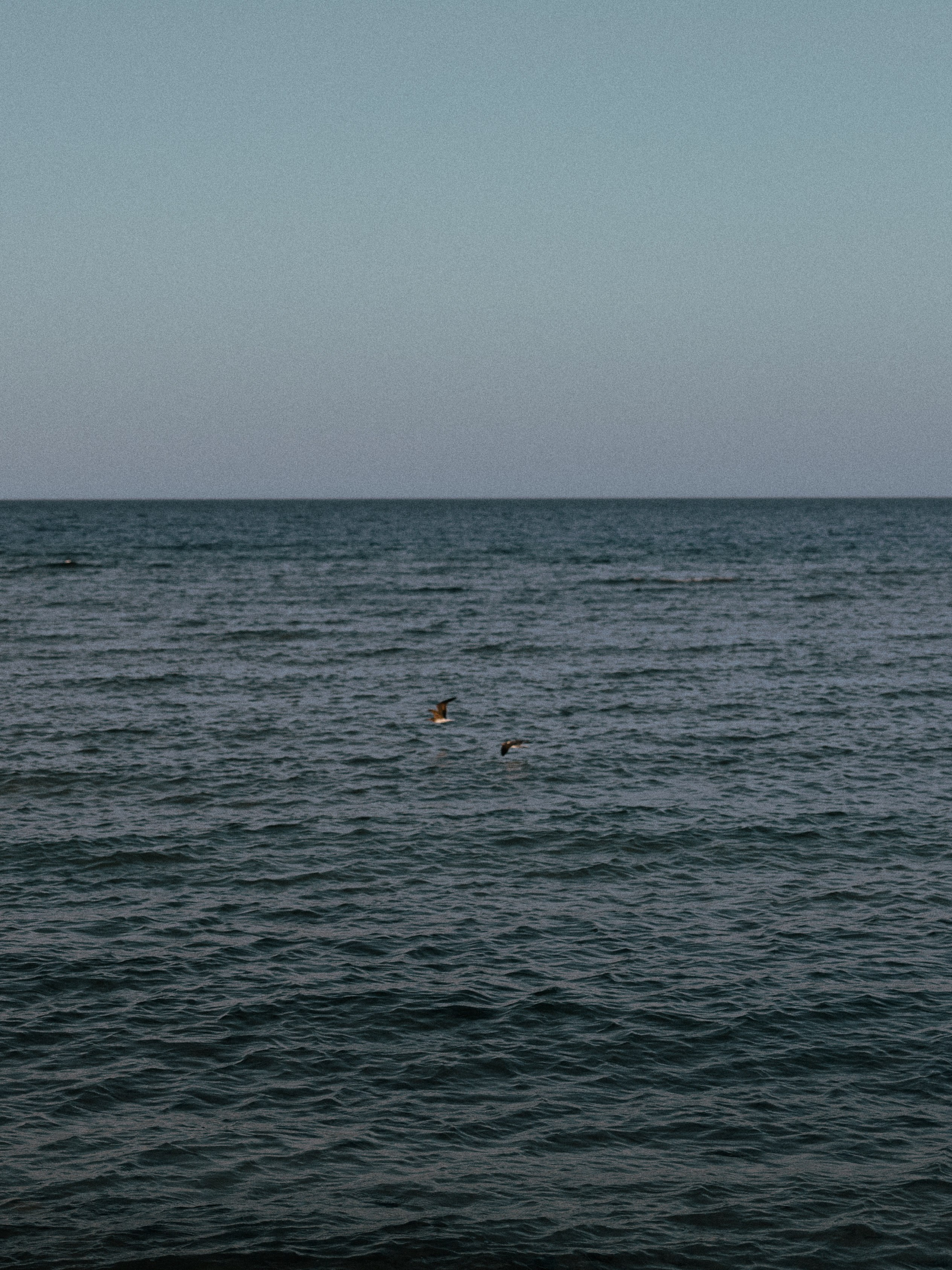 Природа. Jorgis Talè — photographer, kind person, teacher of arts and other mag