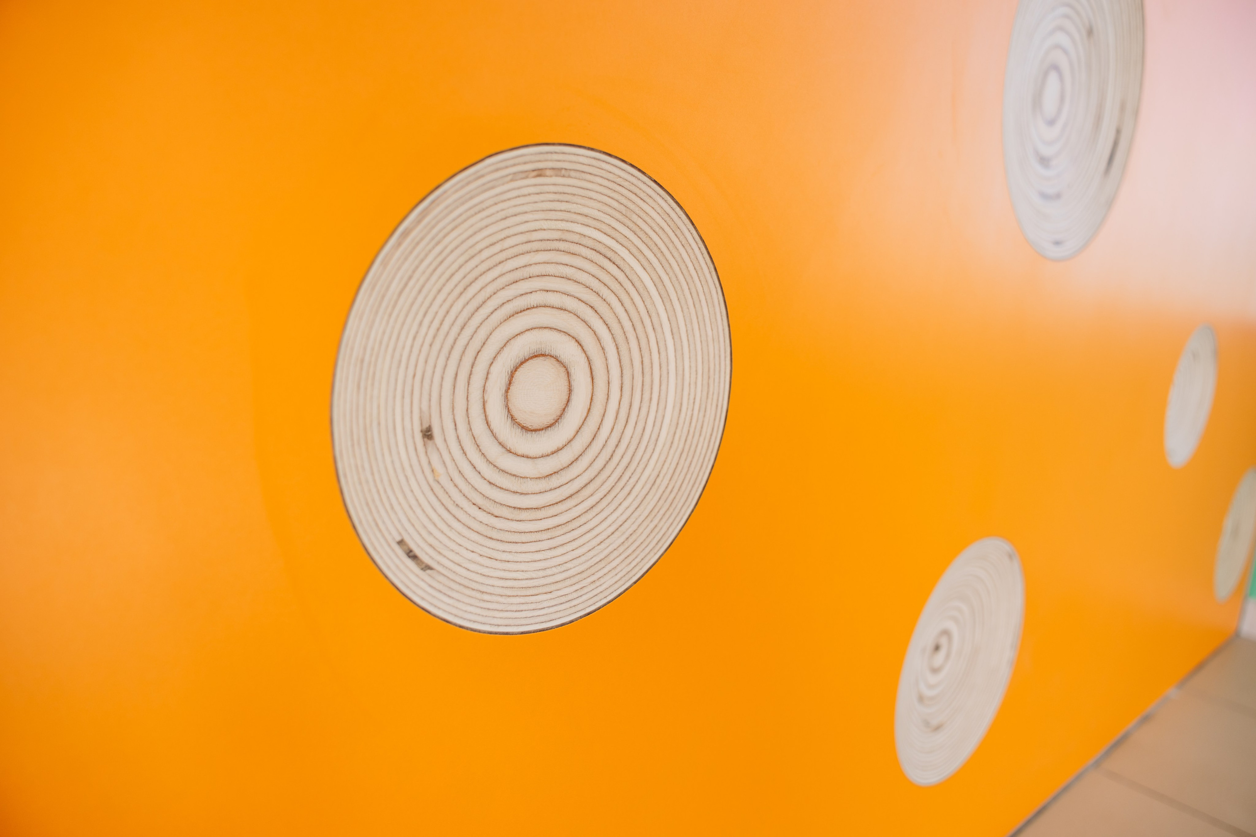 ЧЕБ И РЕК | РИО. ФОТОГРАФ ИРИНА ШАМАТАВА