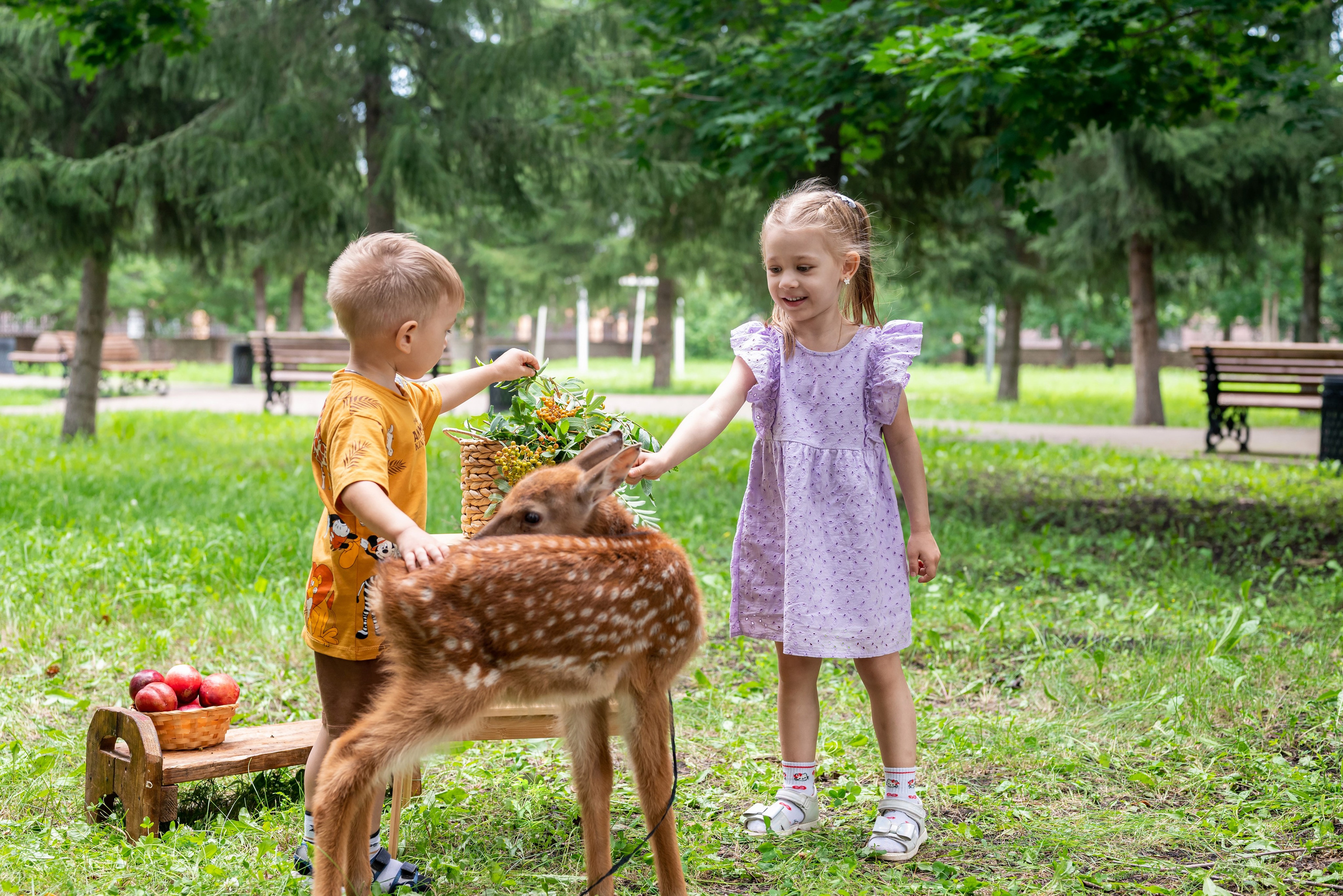 Фотопроект *Оленёнок Бэмби*. Фотограф в городе Салават