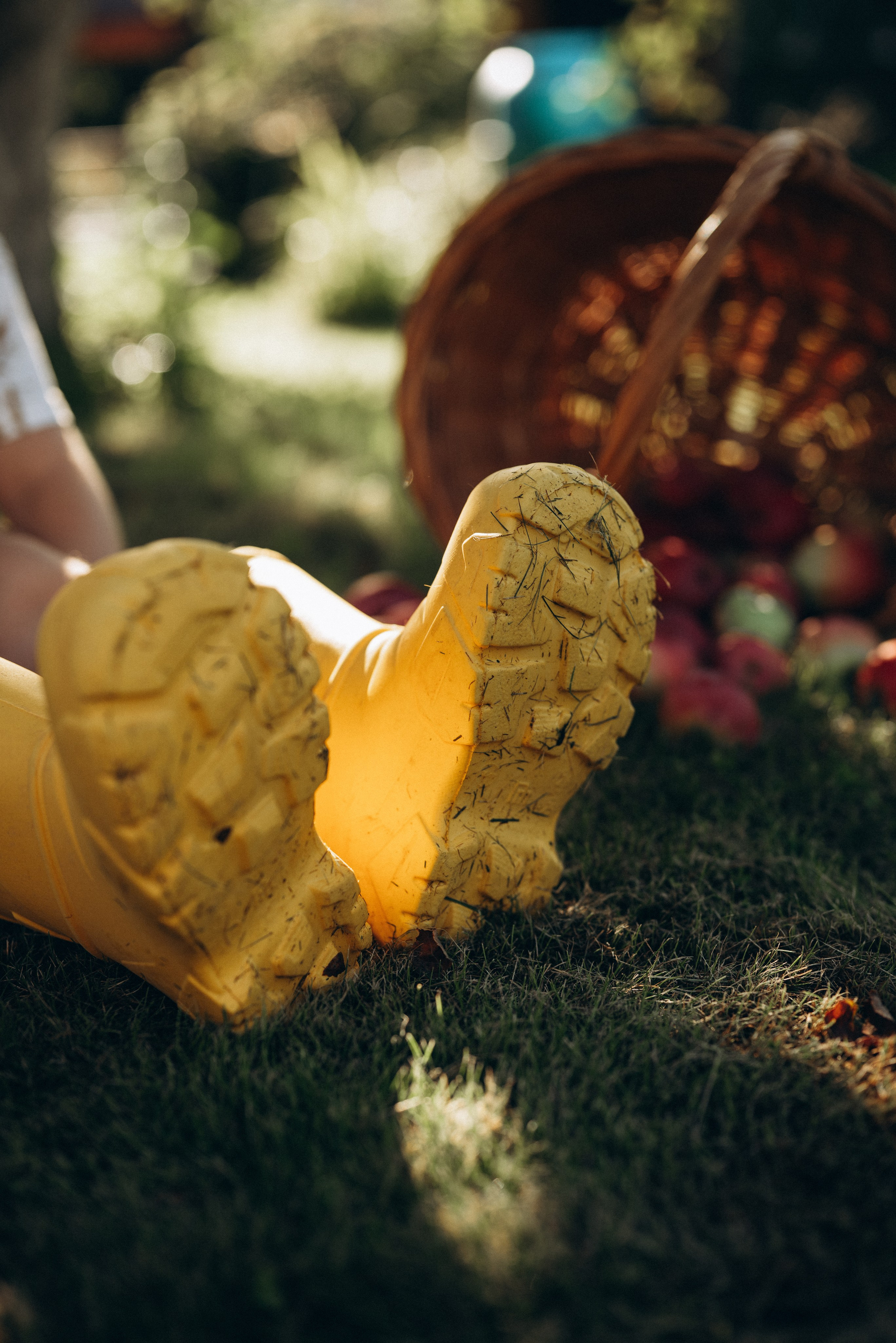 Маленький садовник. Семейный фотограф в Москве Дарья Пузикова