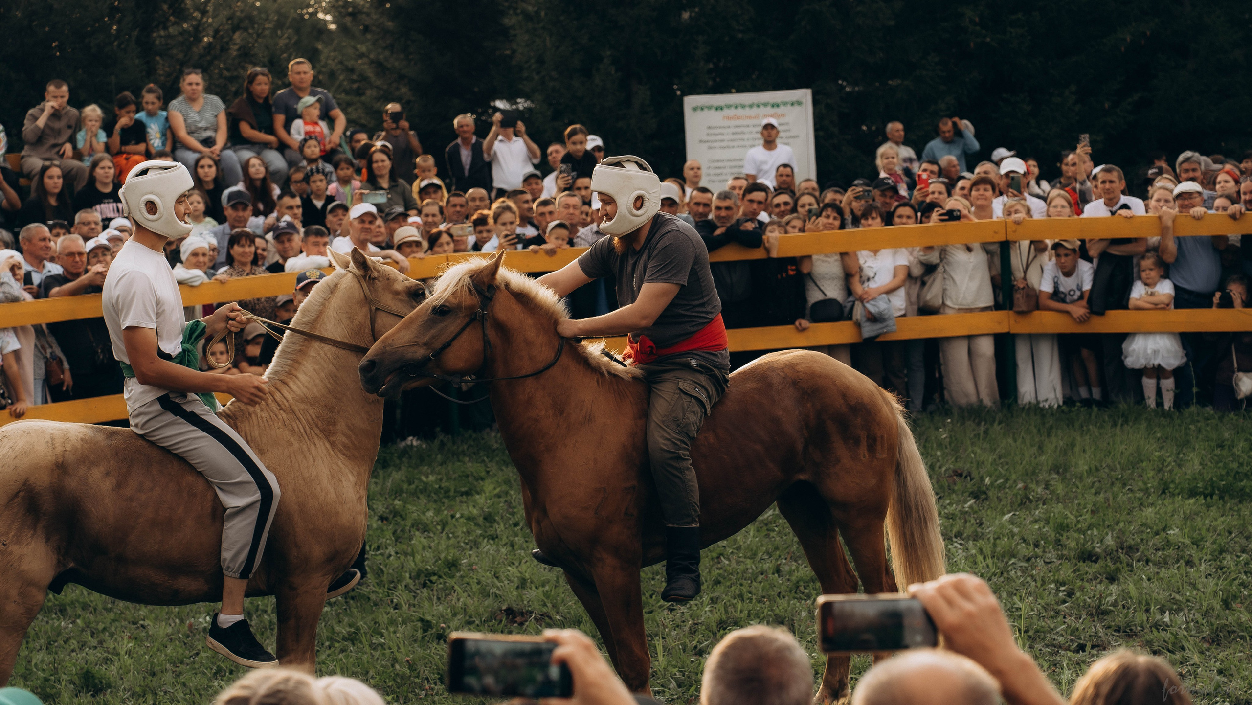 День Коня. Алиса Никитцова | Фотограф в Казани