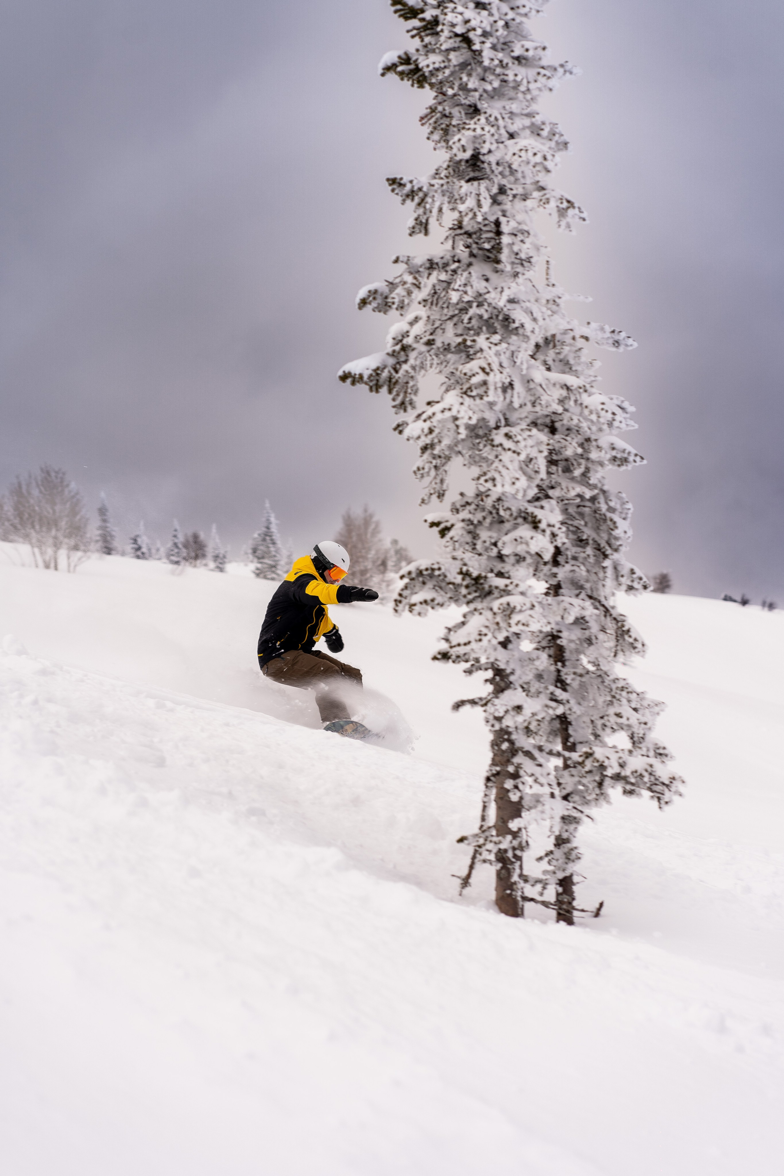 Фрирайд. Анастасия Паршукова — фотограф Шерегеш Новосибирск
