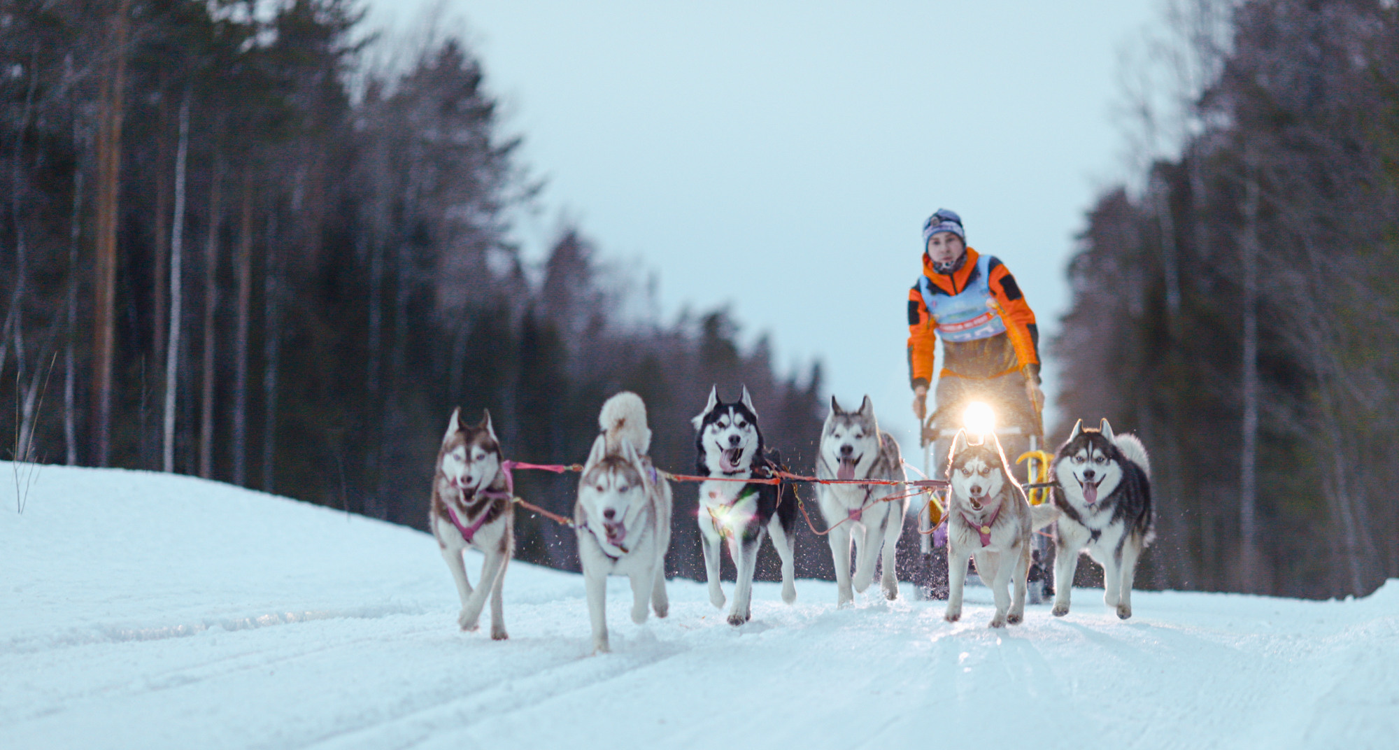 Отзывы. Фотограф Варвара Ермоленко