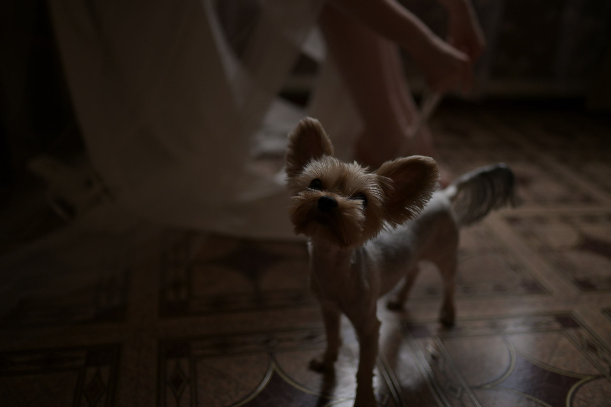 Николай Анастасия. Свадебный фотограф Анна Хочева