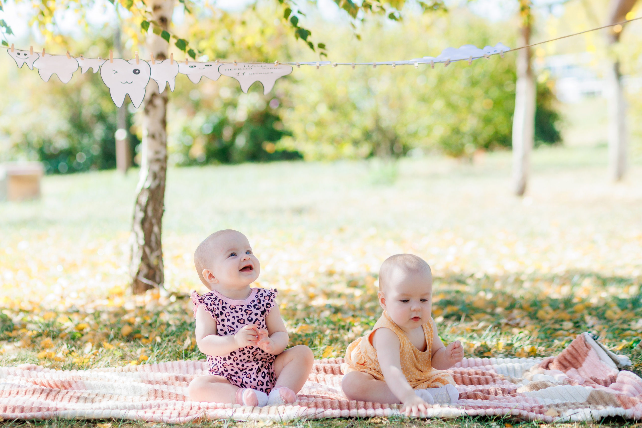Первый зубик. Свадебный и семейный фотограф в Армавире