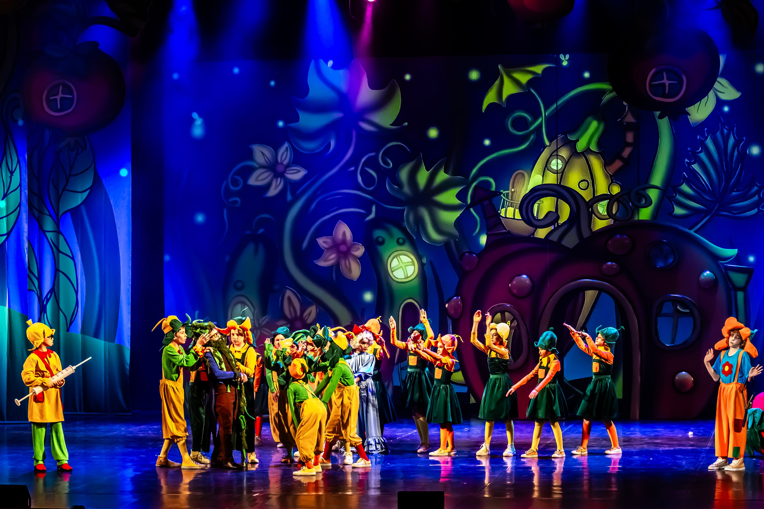 Мюзикл «Незнайка в царстве малюток» премьера Сочи солнышки и Сочи Соло. Фотограф в Сочи Юрий Шептаев