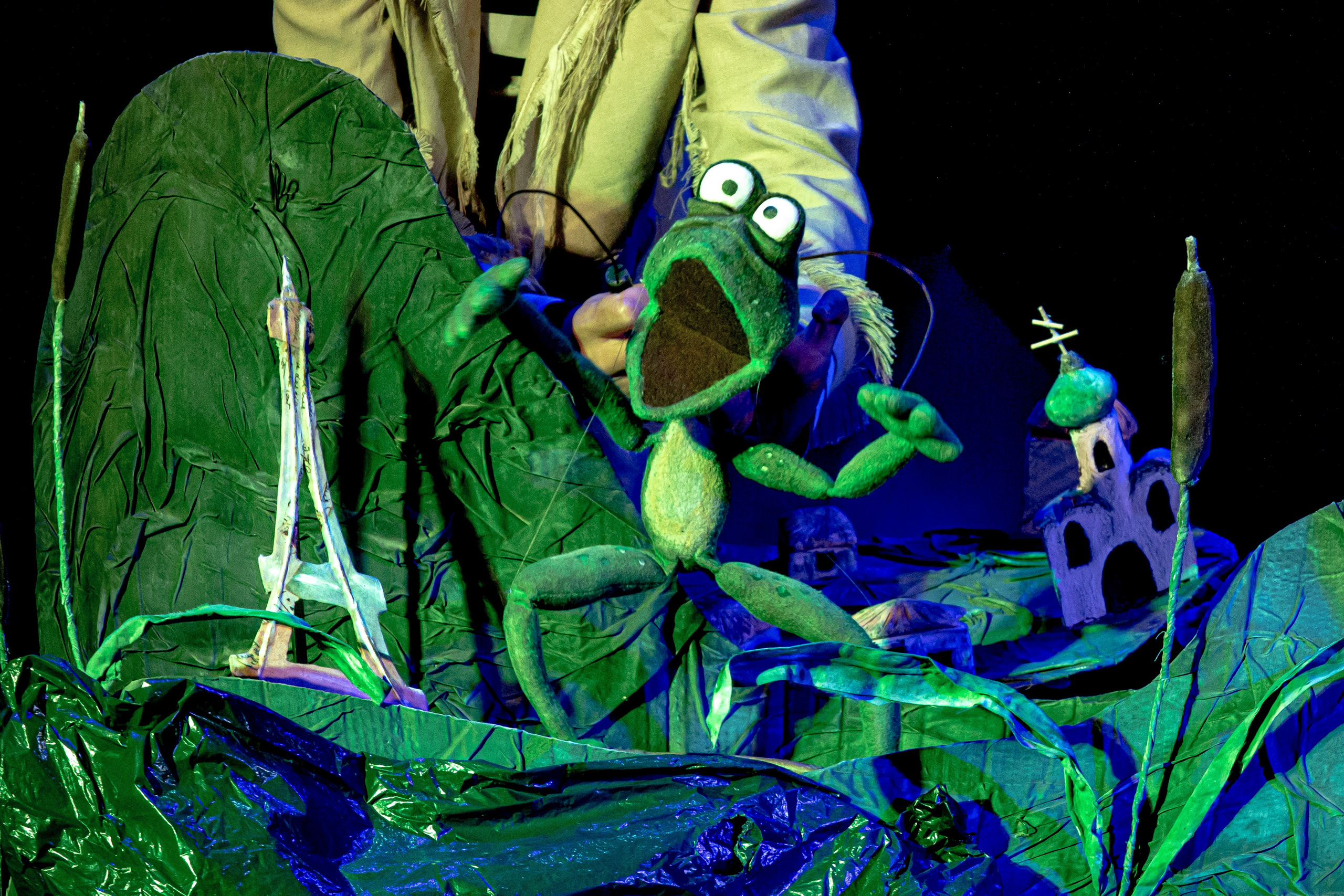 Спектакль театра Саквояж Лягушка путешествиница. Фотограф в Сочи Юрий Шептаев