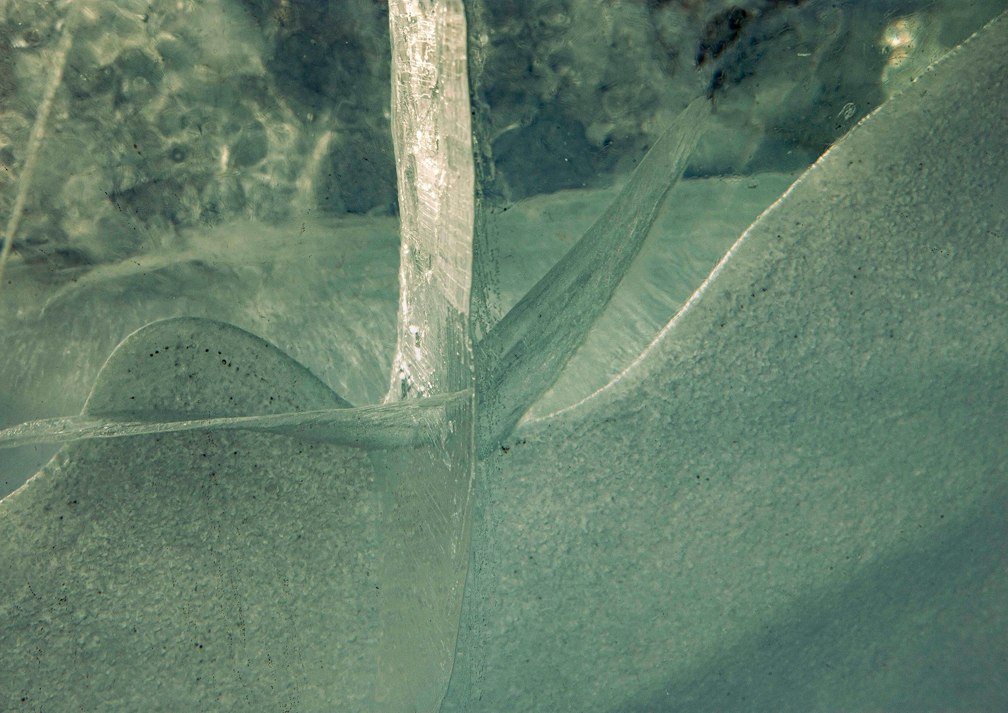 «Мы здесь». Фотограф Переверзева Наталья / Ханты-Мансийск