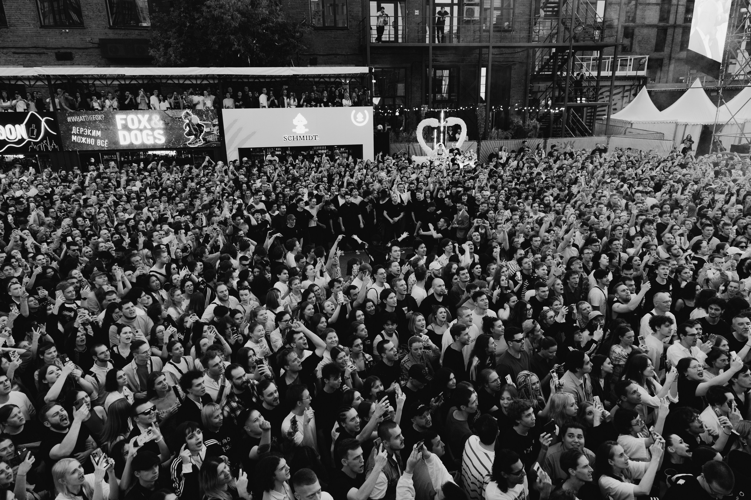 Хаски ’25 Свадьба. RUSLAN ROZANOV