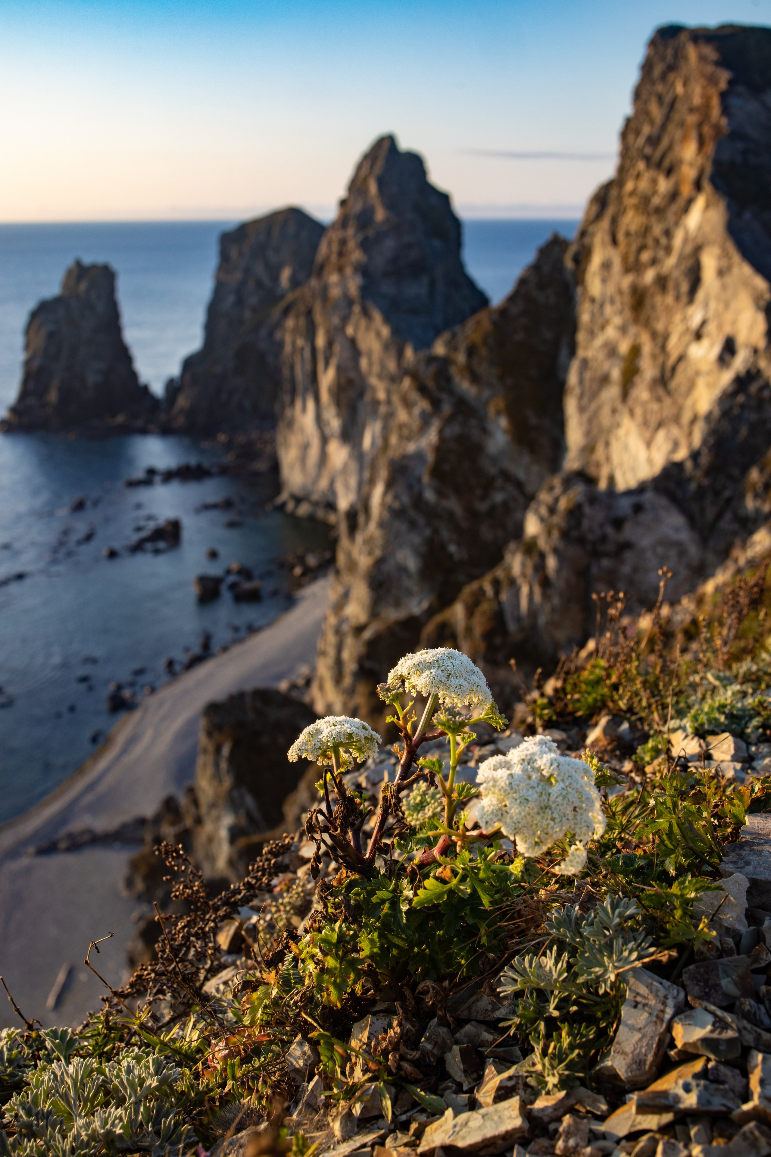 Пейзаж. Репортажный Фотограф во Владивостоке и России Осипчук Дмитрий