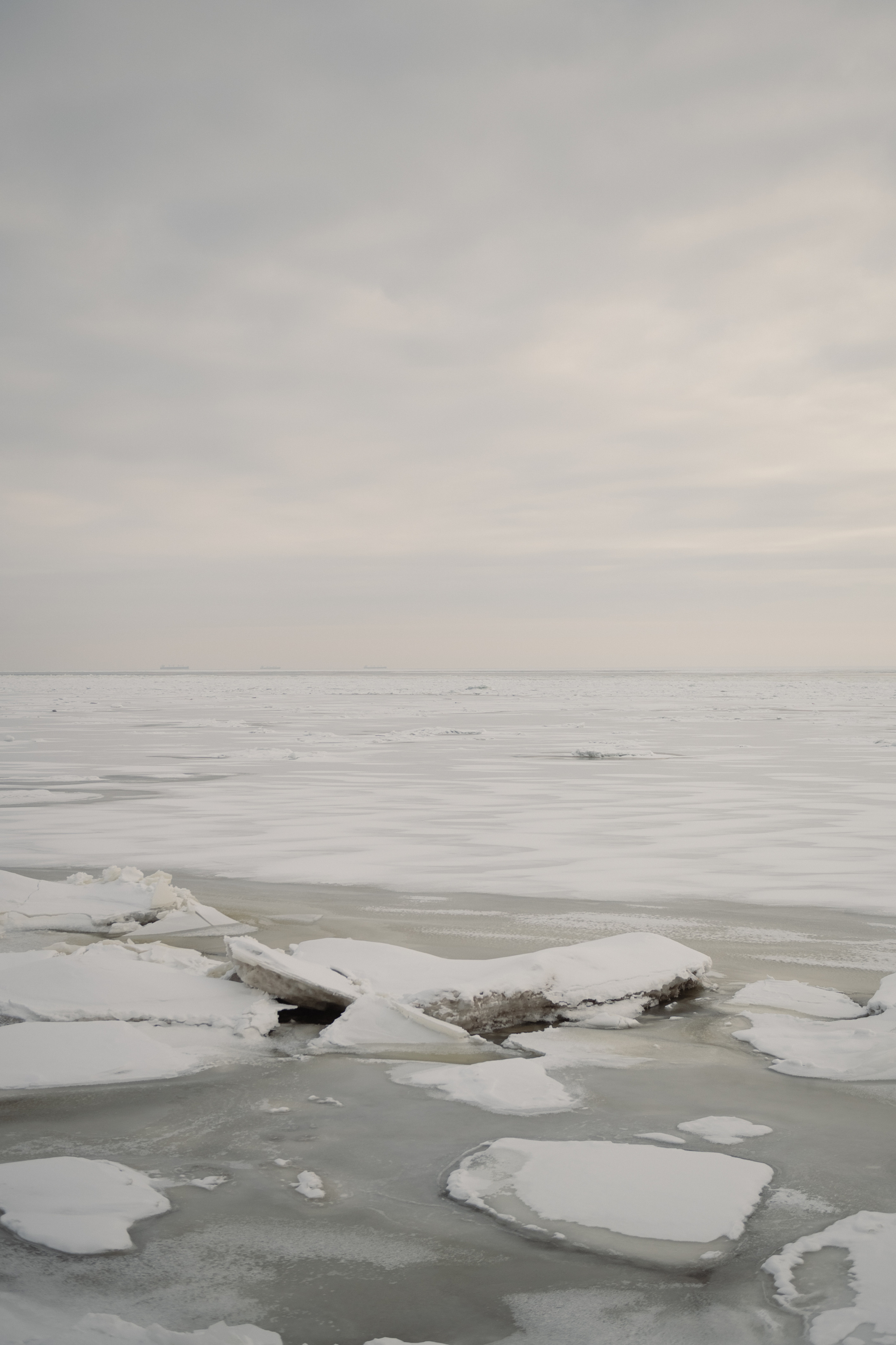 Свадебный фотограф в Курске. Свадебный фотограф Курск Максим Ноздрачев
