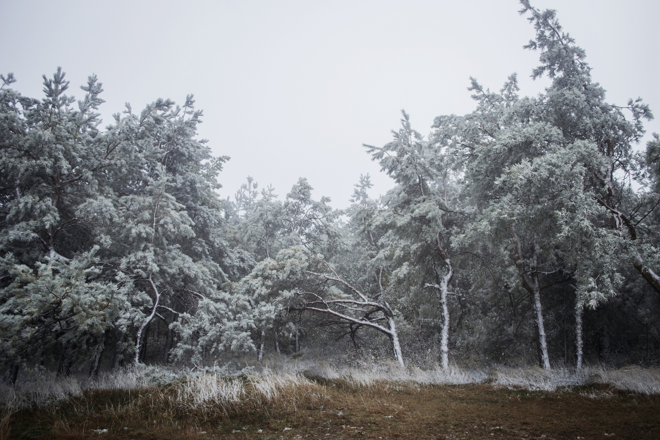 Пейзажи. Фотограф в Санкт-Петербурге Мария Мельникова