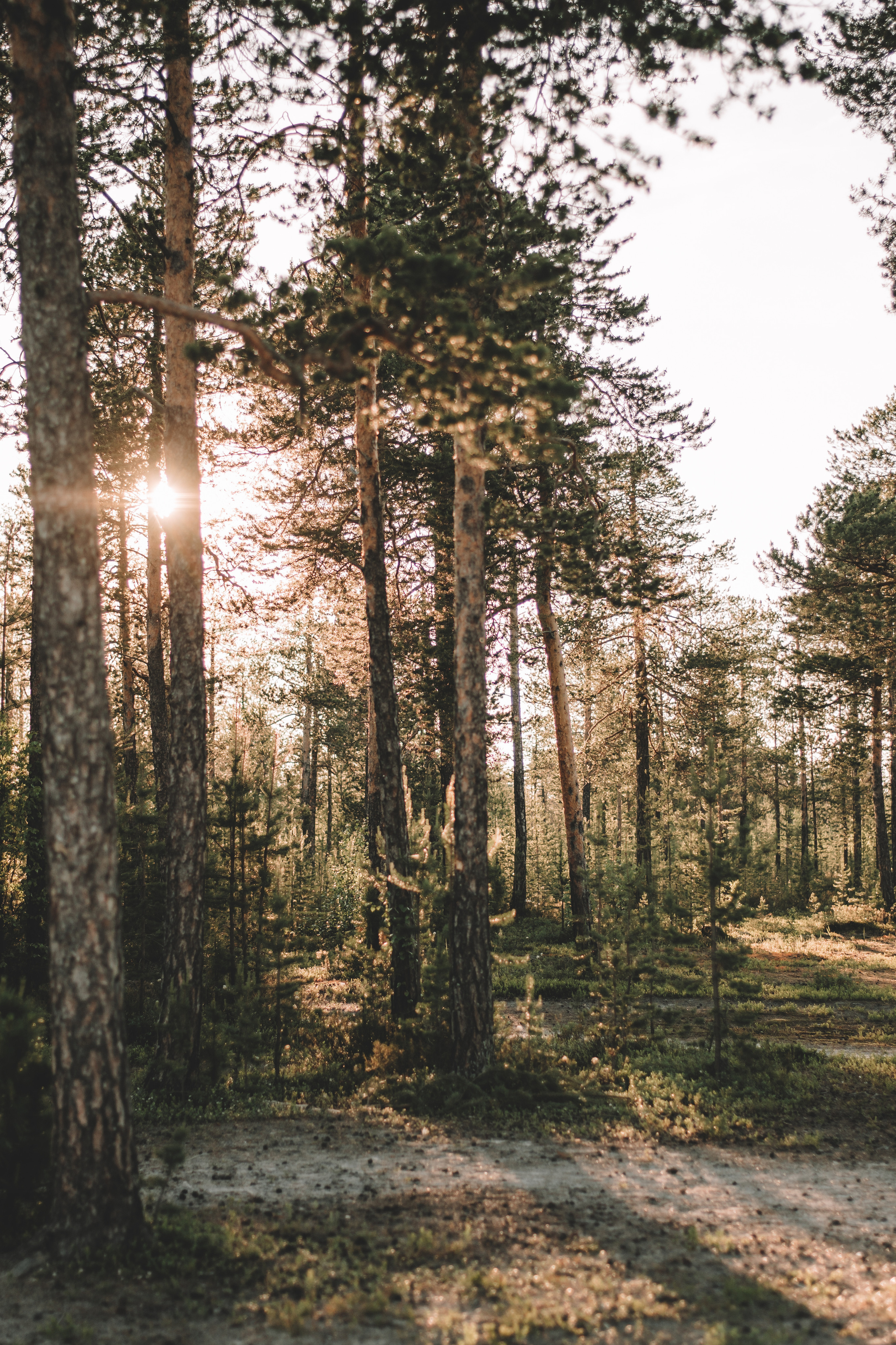 Светлана и Олег. Семейный и свадебный фотограф Губкинский и Ставрополь