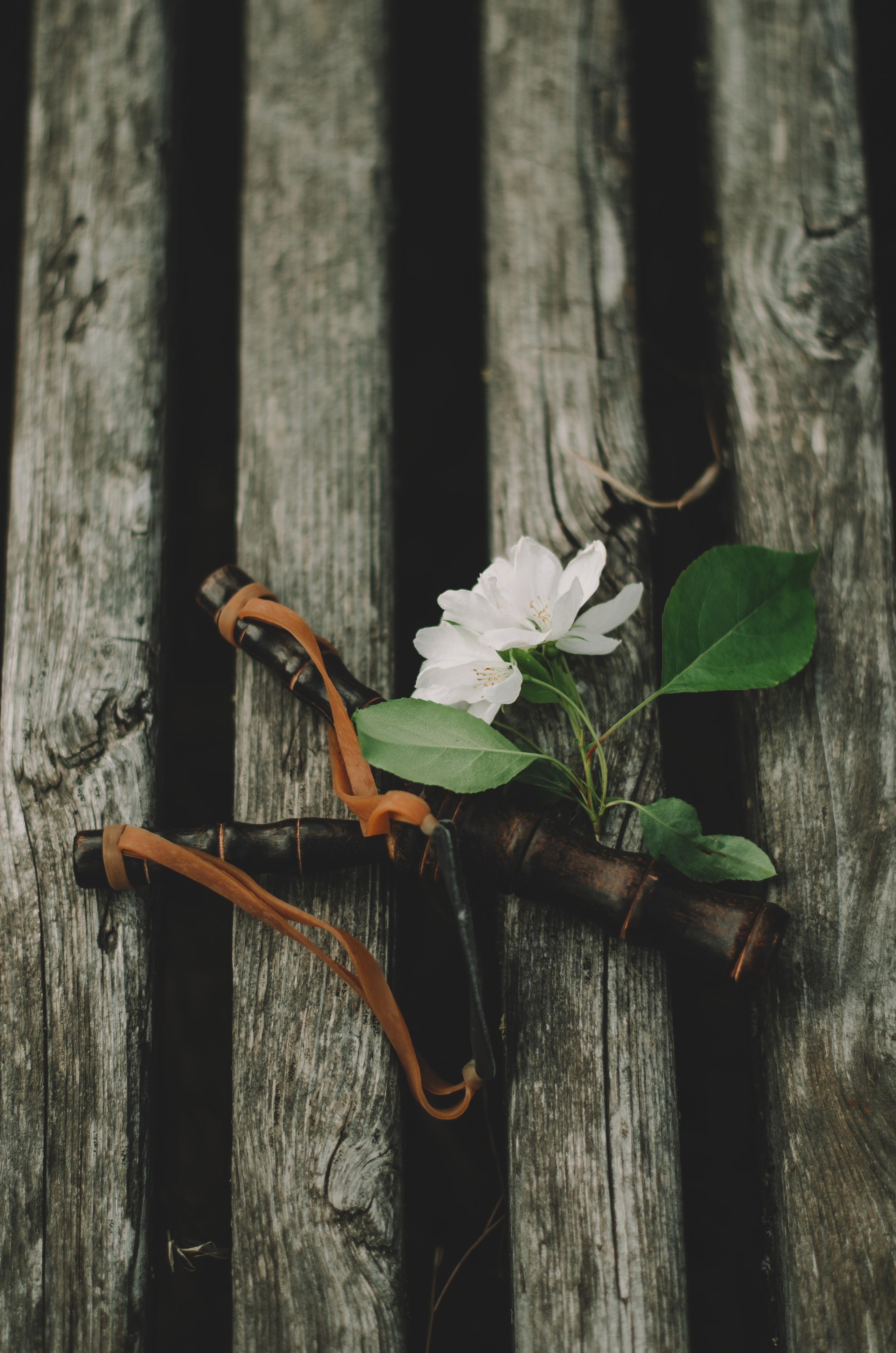 Юлия. Семейный и свадебный фотограф Губкинский и Ставрополь