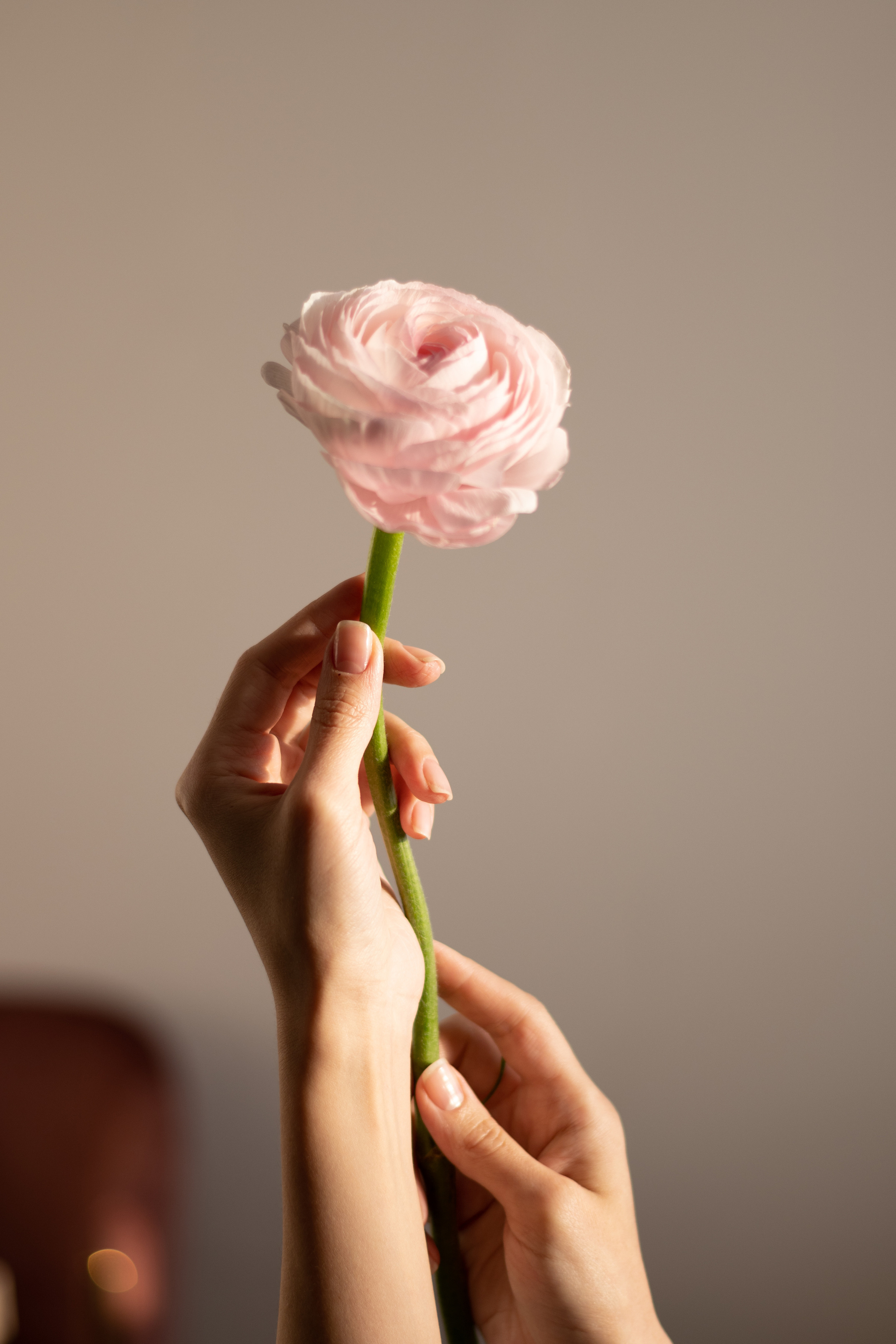 Юлия. Семейный и свадебный фотограф Губкинский и Ставрополь