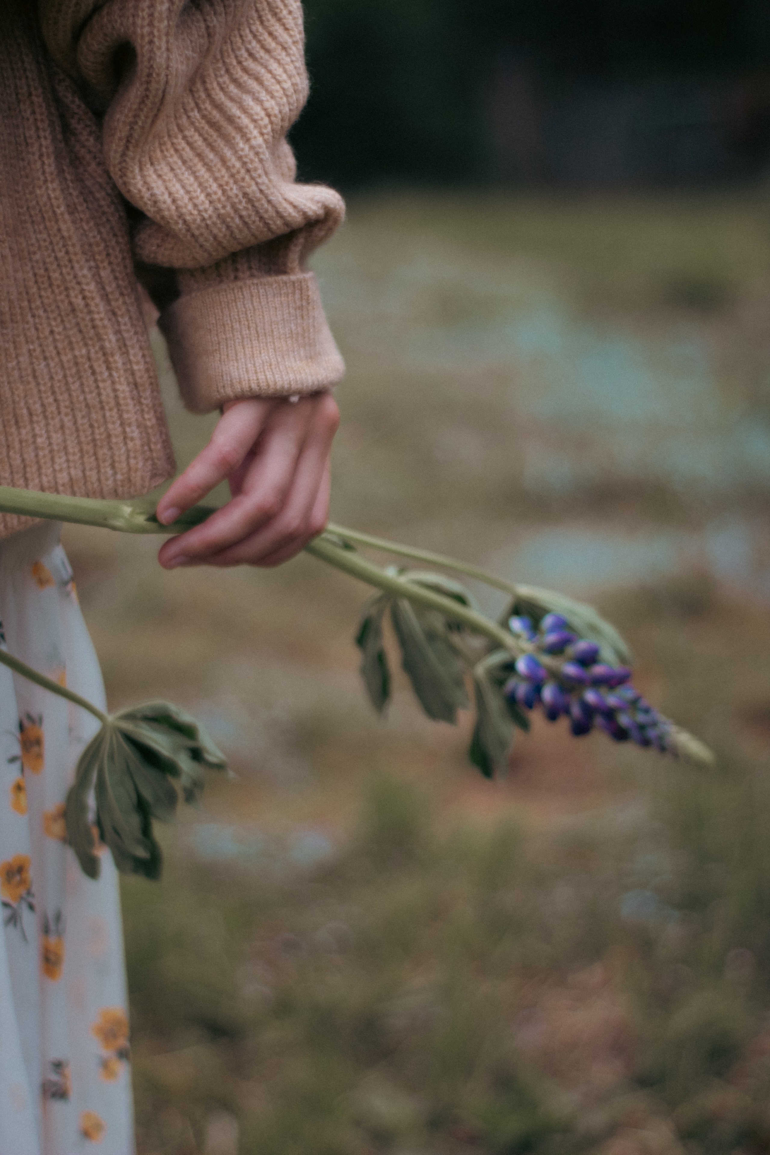Lupins. Свадебный и семейный фотограф в Красноярске Леонид Максимов